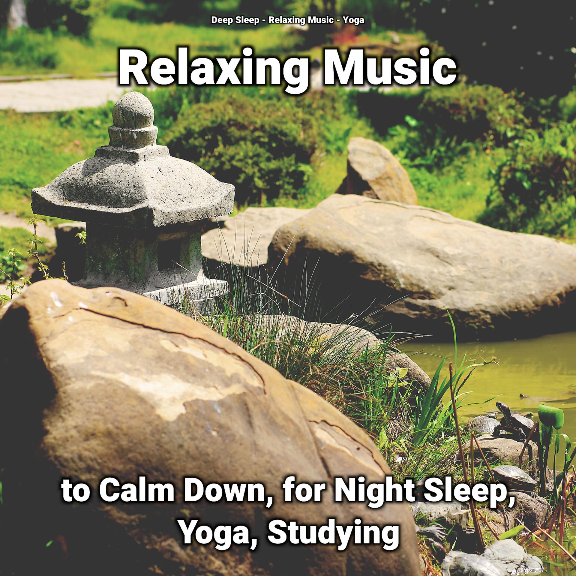 Постер альбома Relaxing Music to Calm Down, for Night Sleep, Yoga, Studying