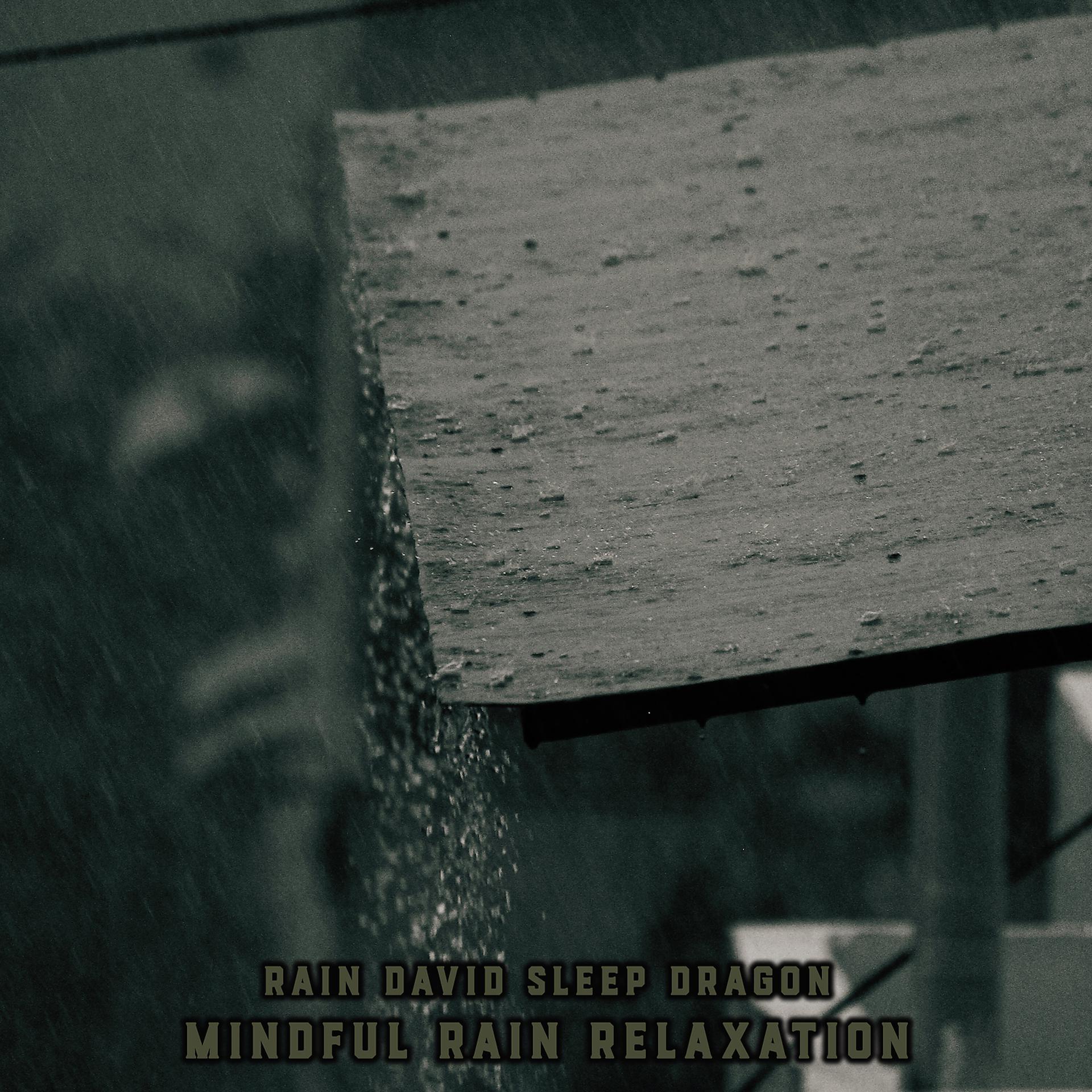 Постер альбома Mindful Rain Relaxation
