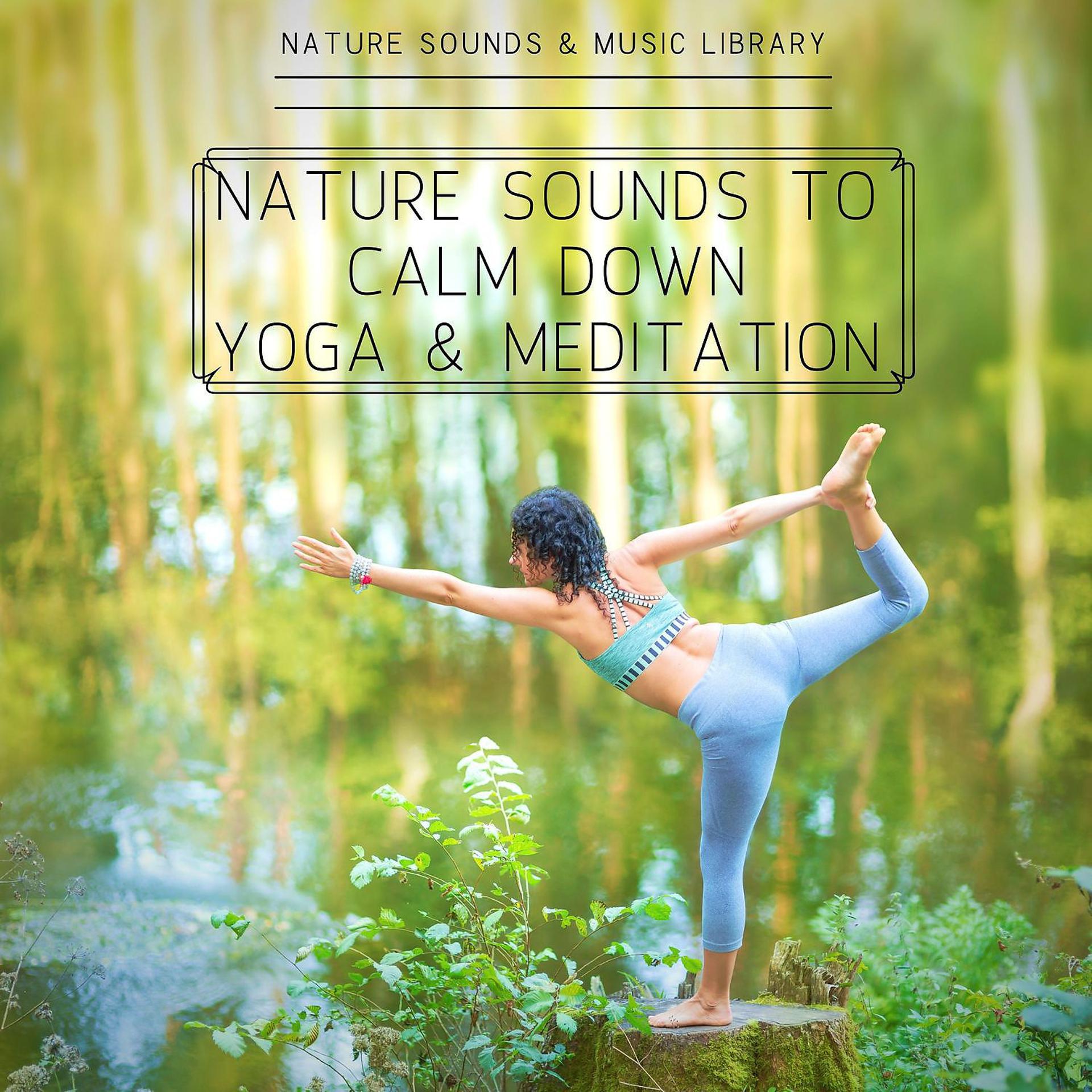 Постер альбома Nature Sounds to Calm Down, Yoga & Meditation
