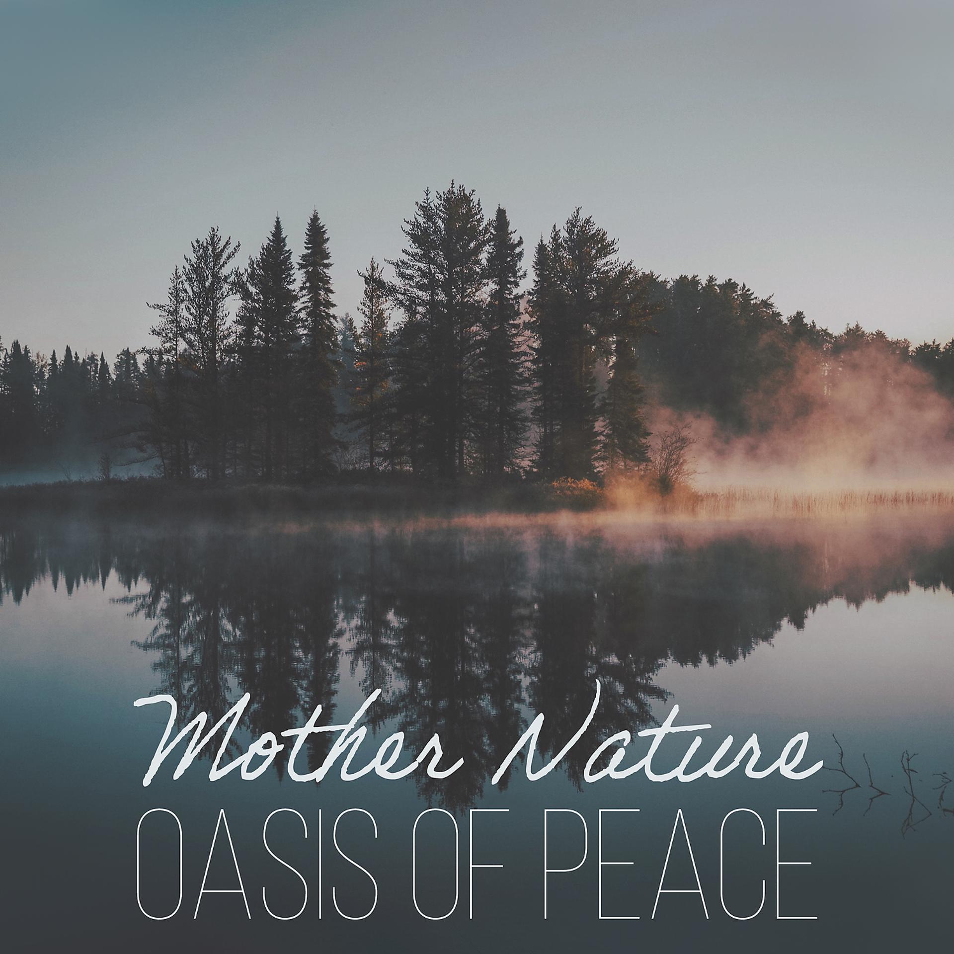 Постер альбома Mother Nature – Oasis of Peace