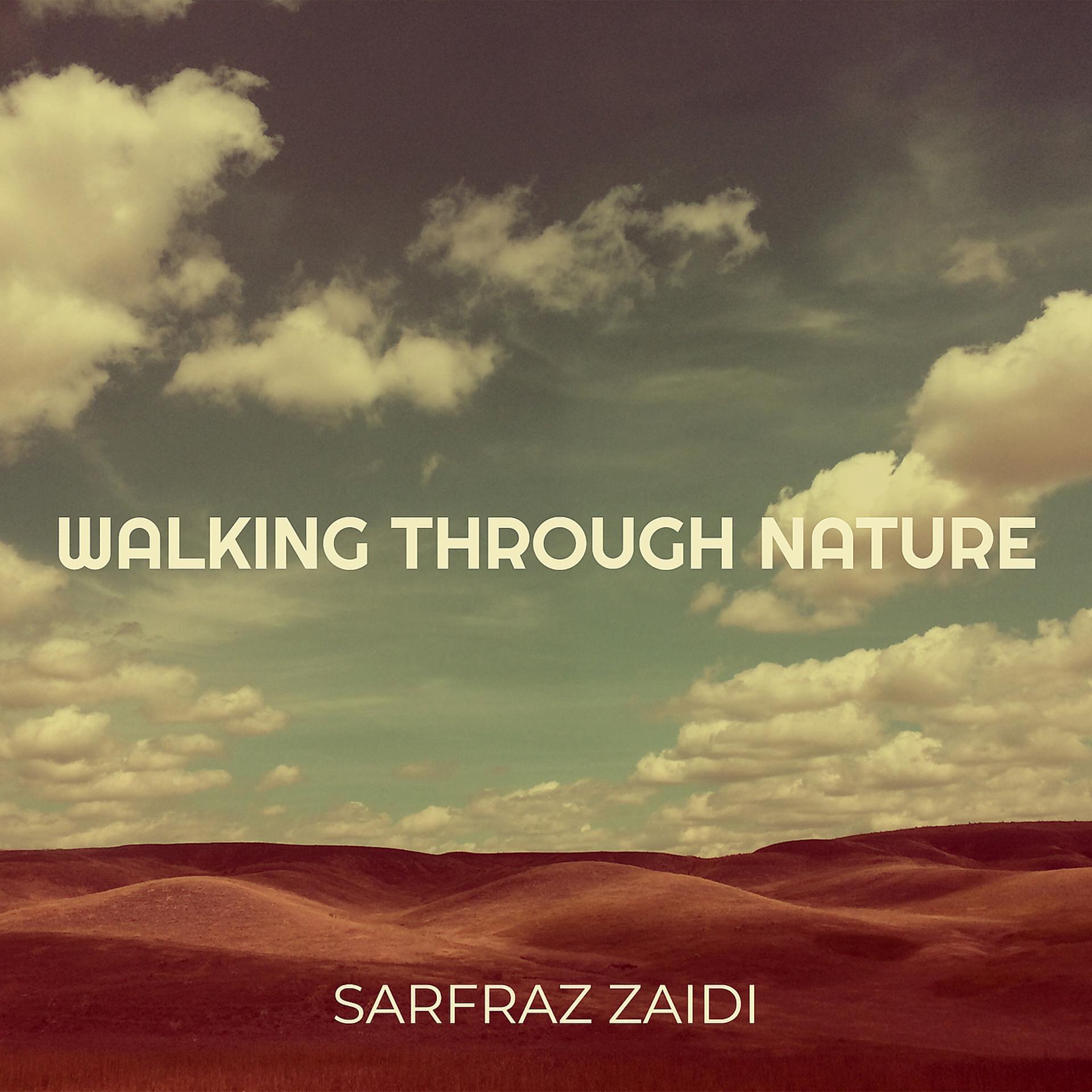 Постер альбома Walking Through Nature