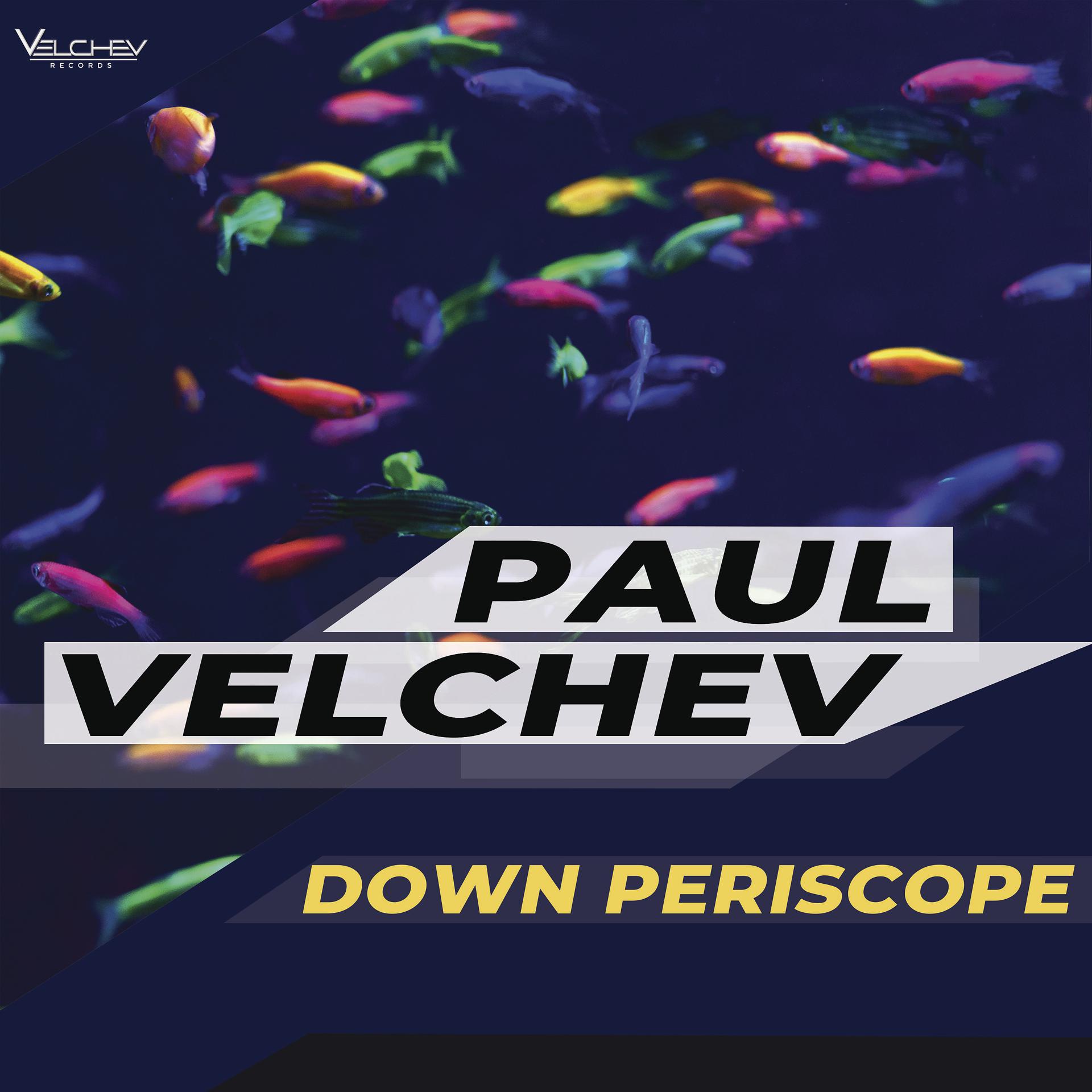 Постер альбома Down Periscope