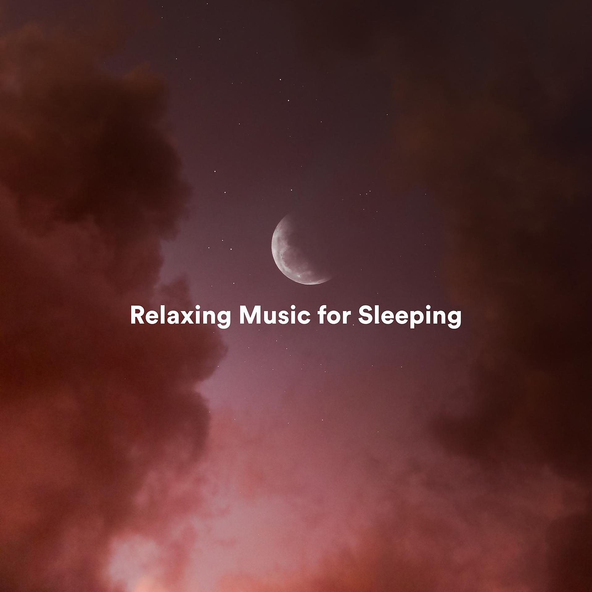 Постер альбома Relaxing Music for Sleeping