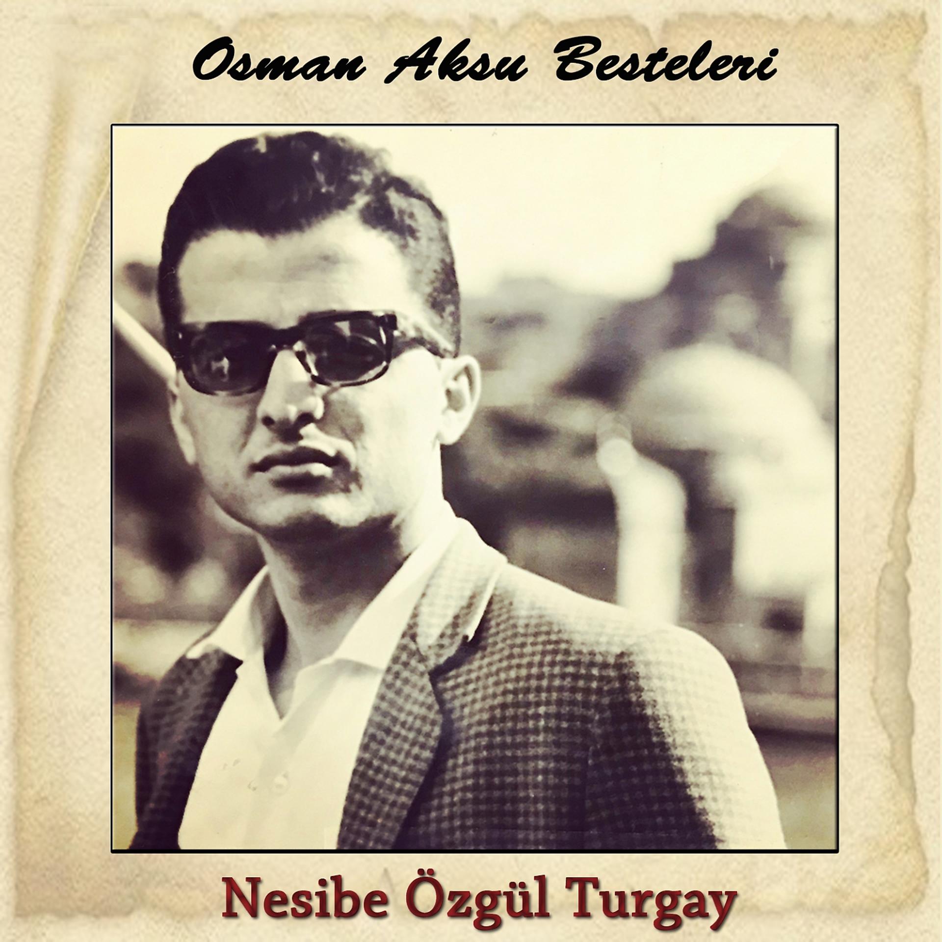 Постер альбома Osman Aksu Besteleri