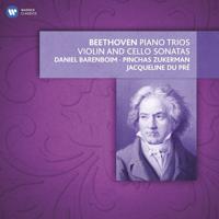 Постер альбома Beethoven: Piano Trios, Violin & Cello Sonatas