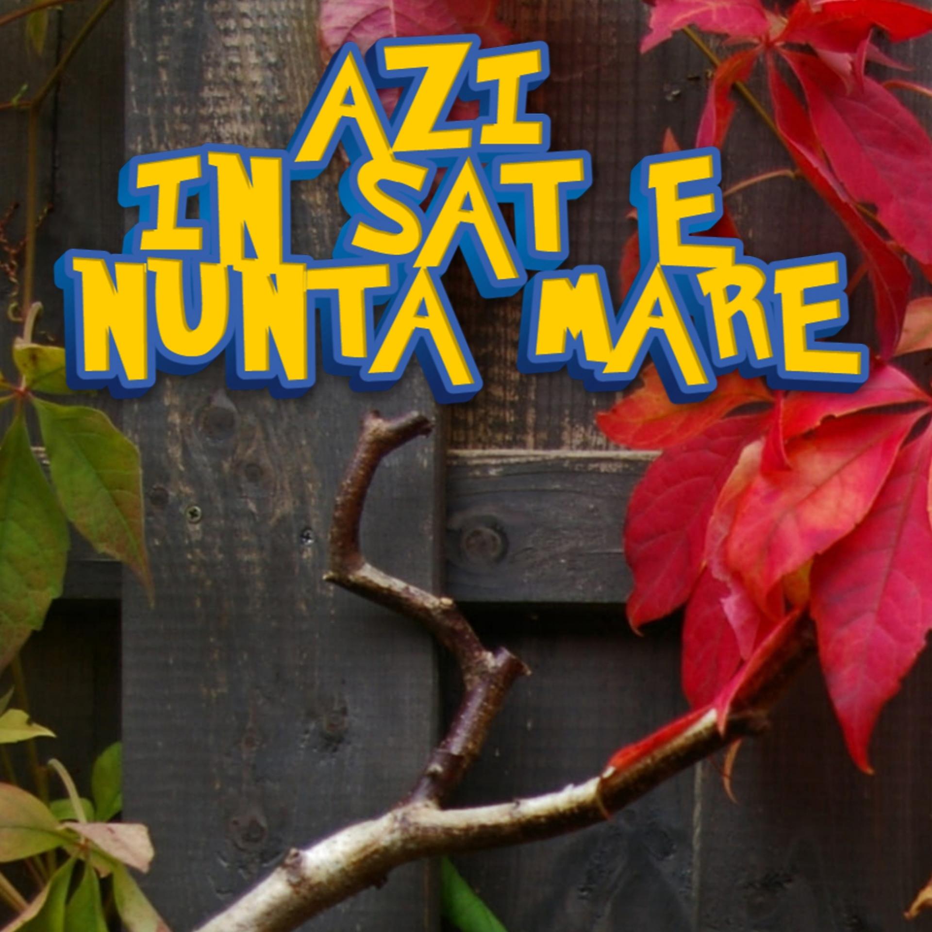 Постер альбома Azi In Sat E Nunta Mare