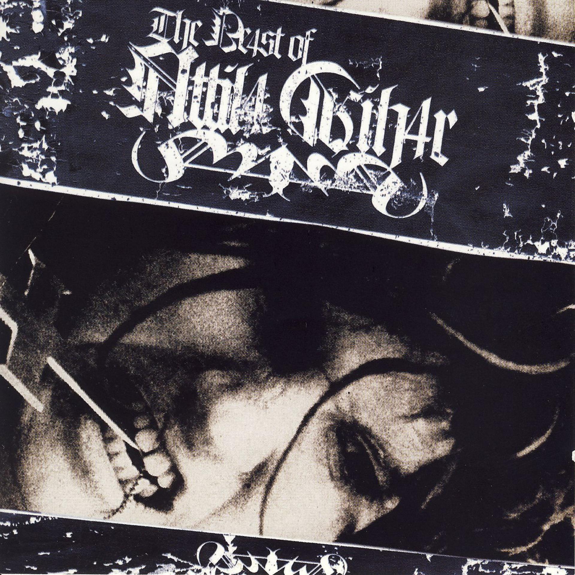 Постер альбома Attila Csihar... The Beast Of