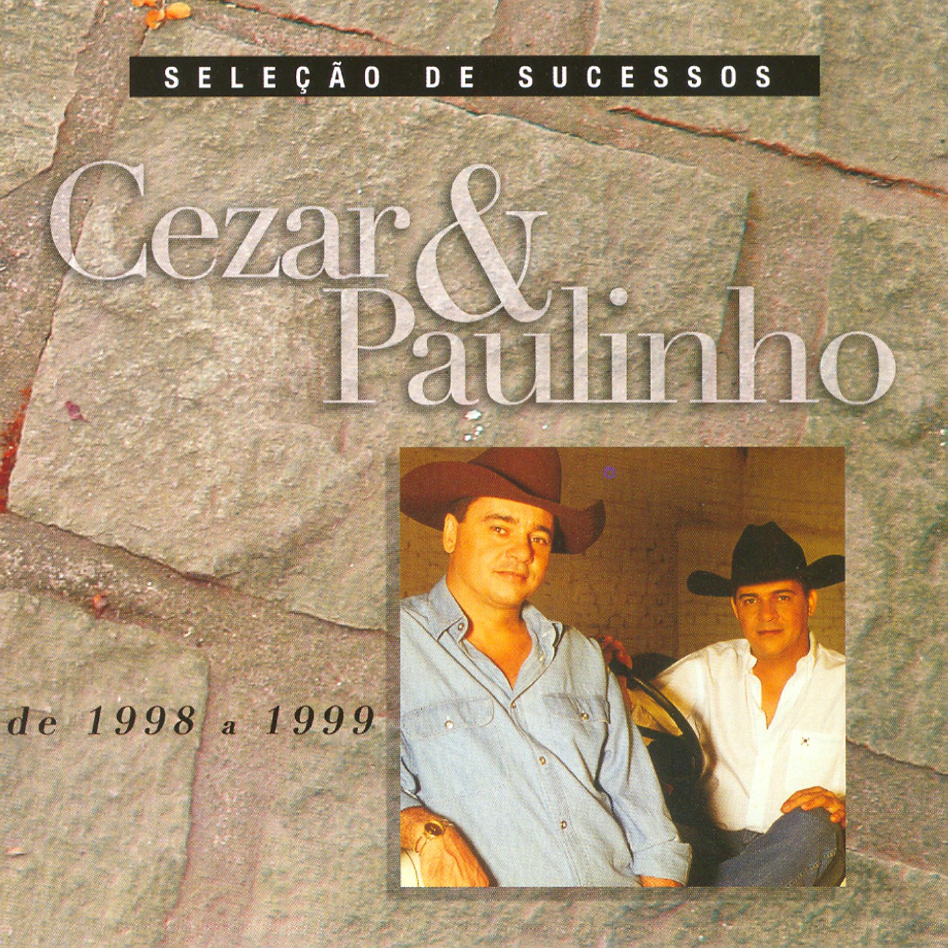 Постер альбома Seleção de Sucessos 1998 / 1999