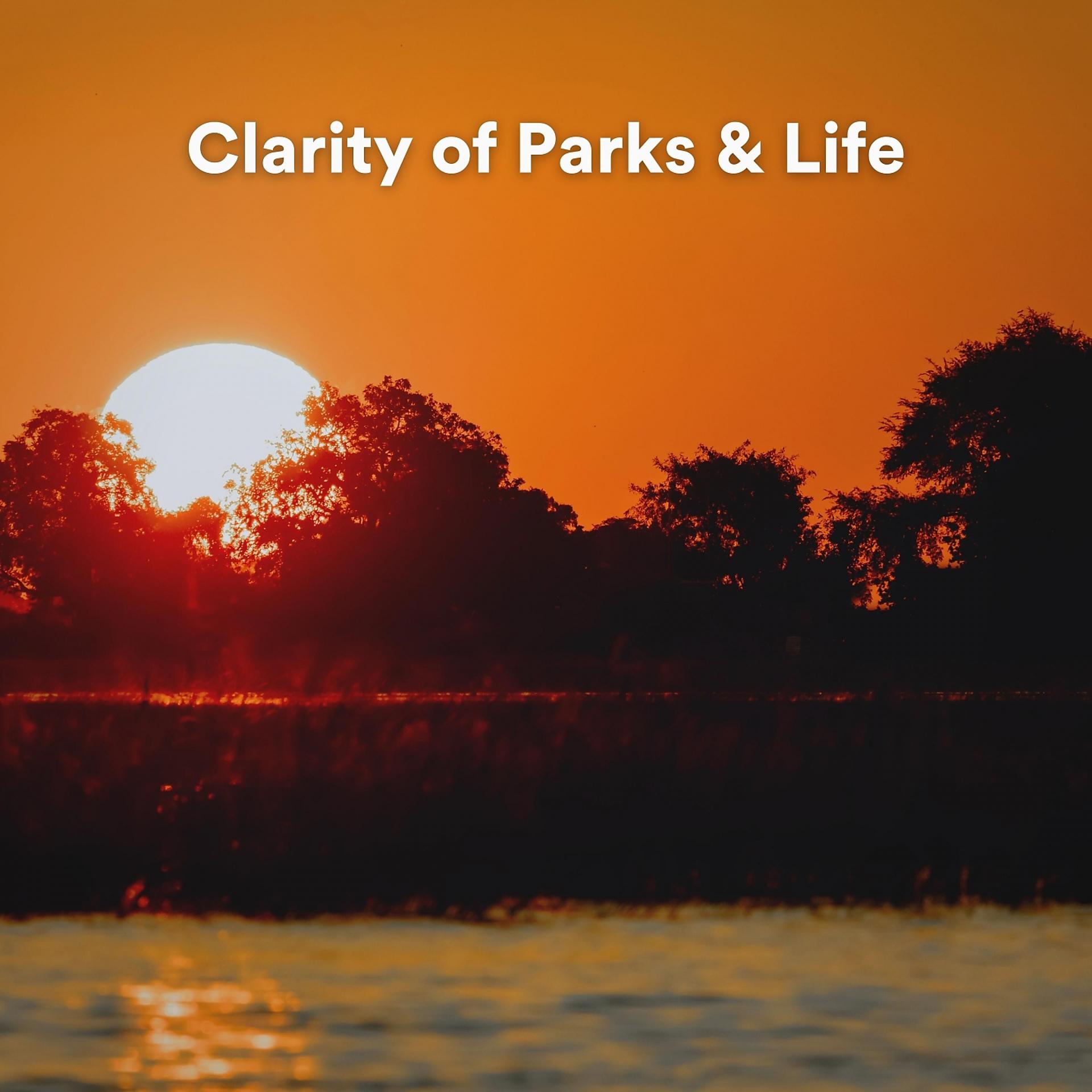 Постер альбома Clarity of Parks & Life
