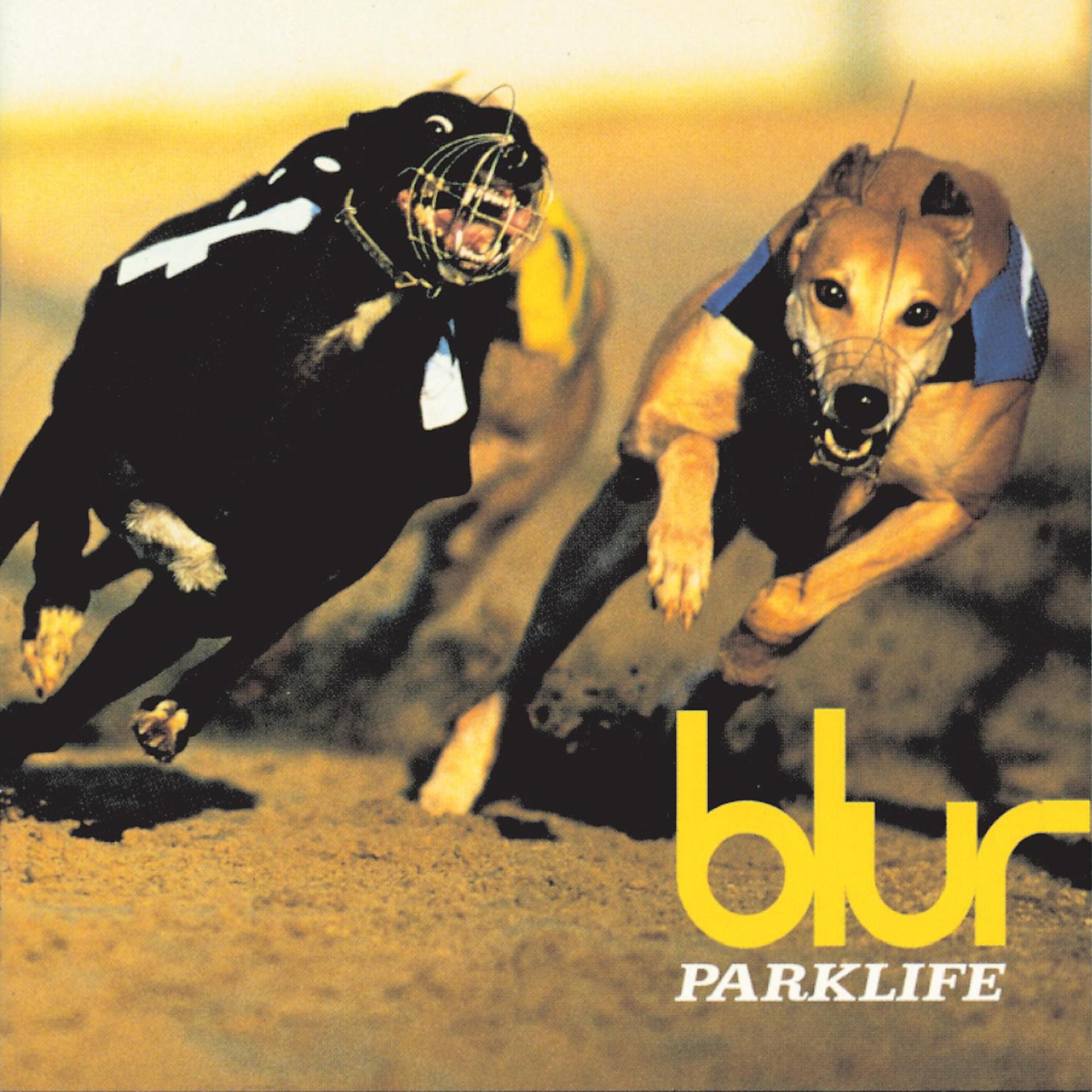 Постер альбома Parklife