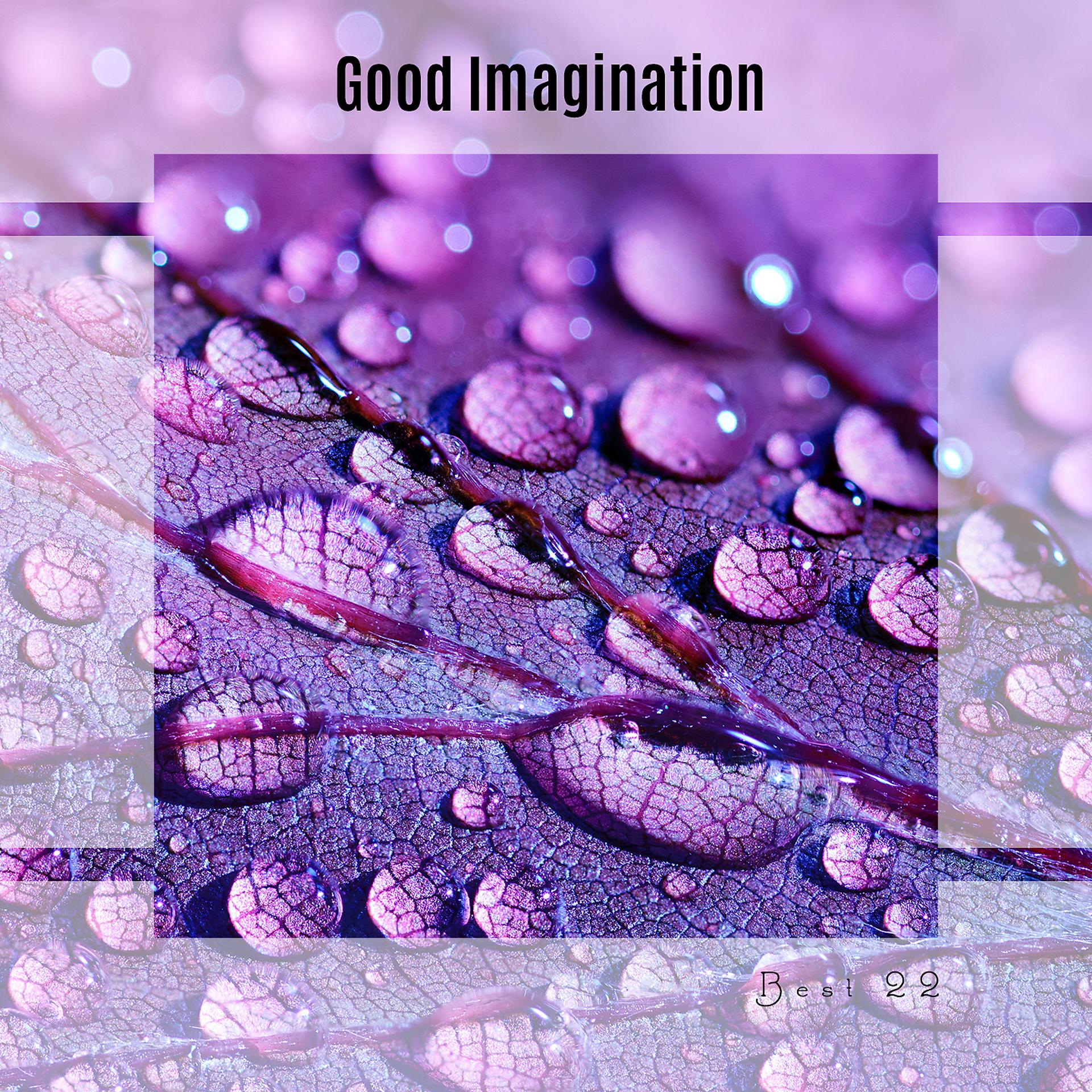 Постер альбома Good Imagination Best 22