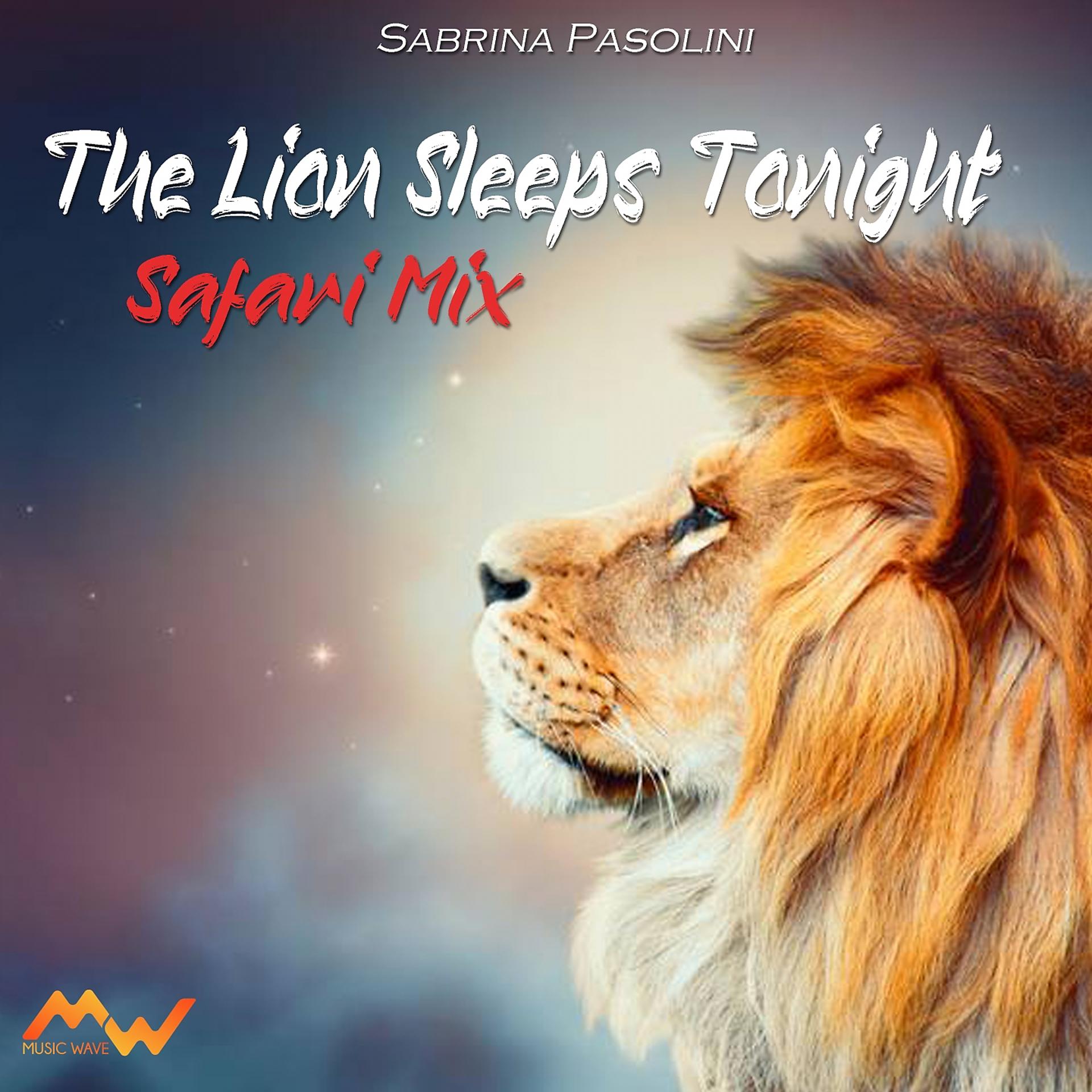 Постер альбома The Lion Sleep Tonight / Safari Mix