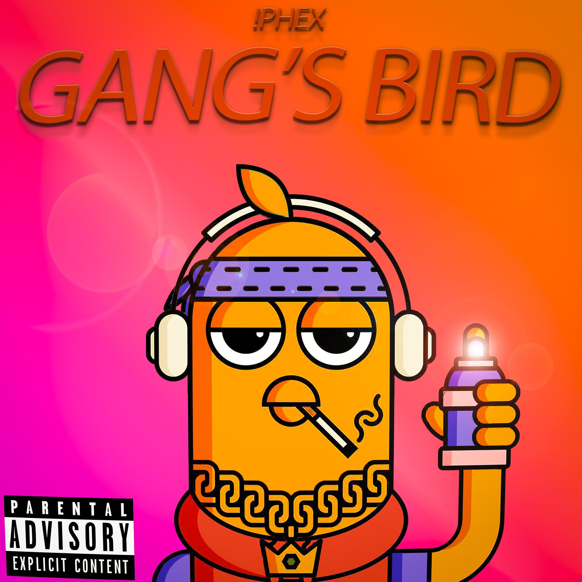 Постер альбома Gang's Bird