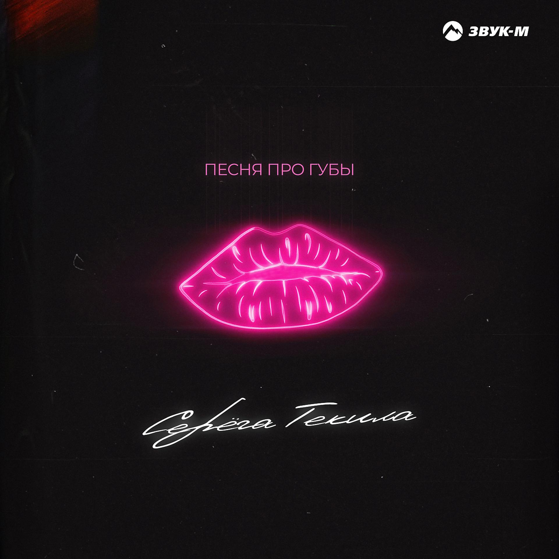 Постер альбома Песня про губы
