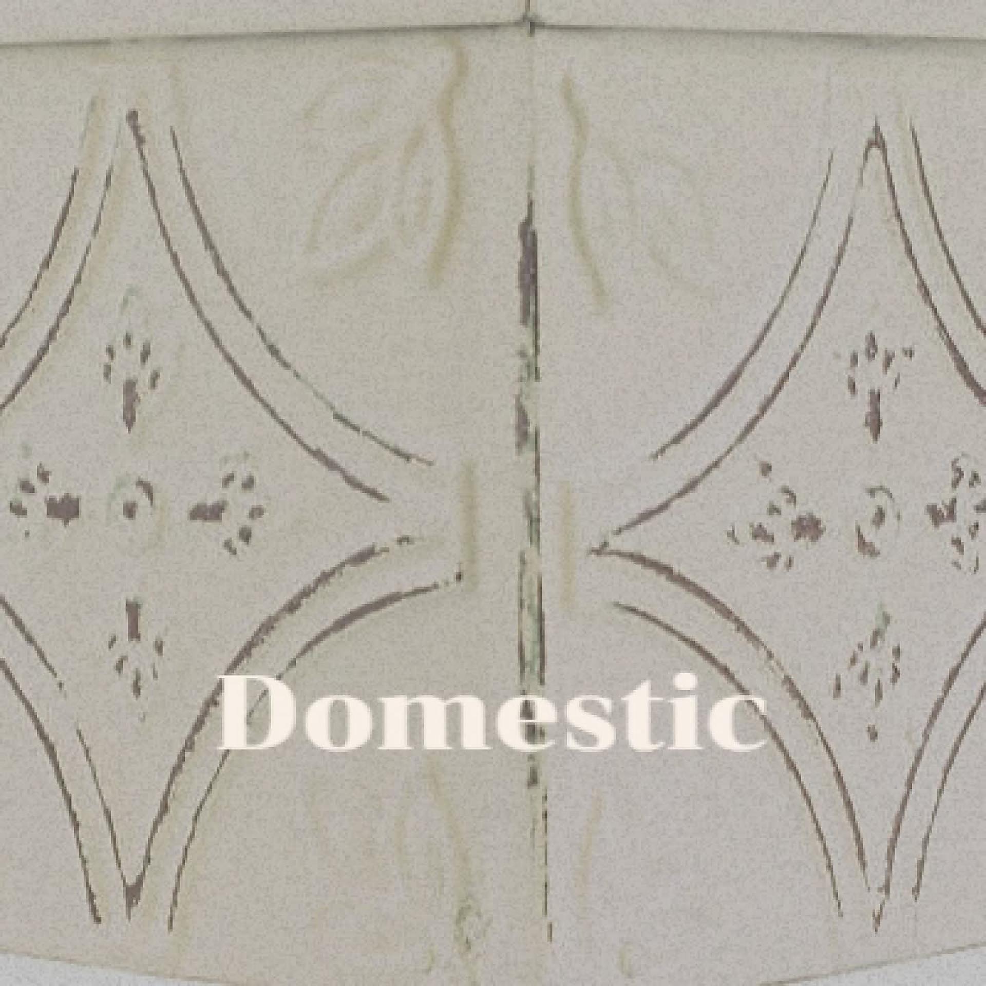 Постер альбома Domestic
