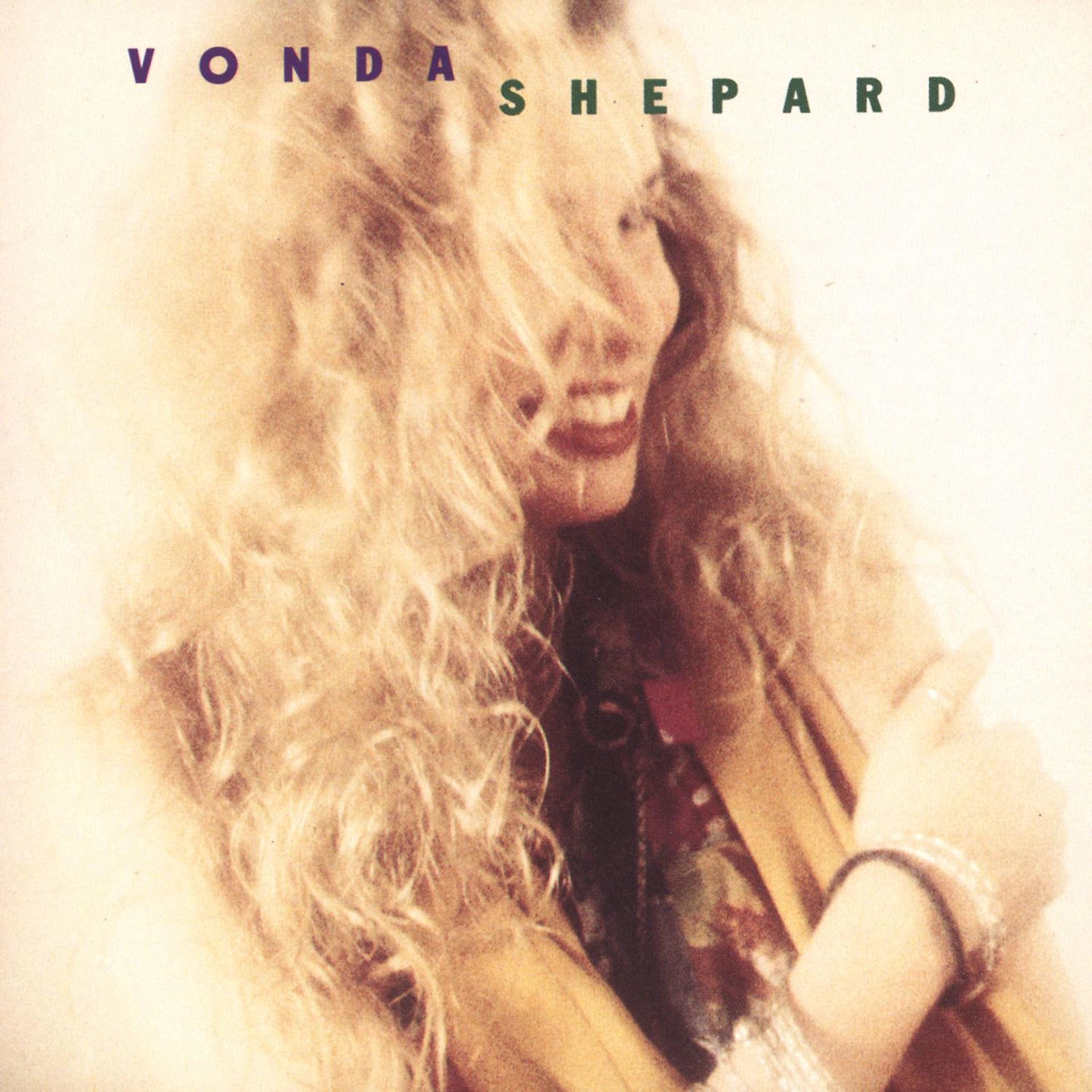 Постер альбома Vonda Shepard