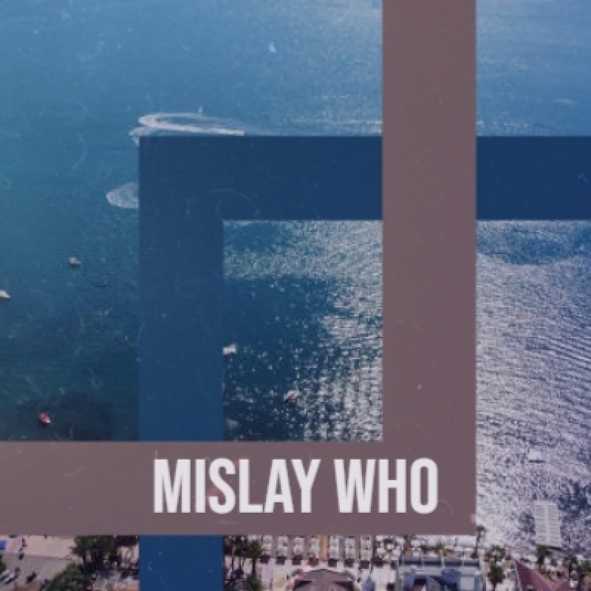 Постер альбома Mislay Who