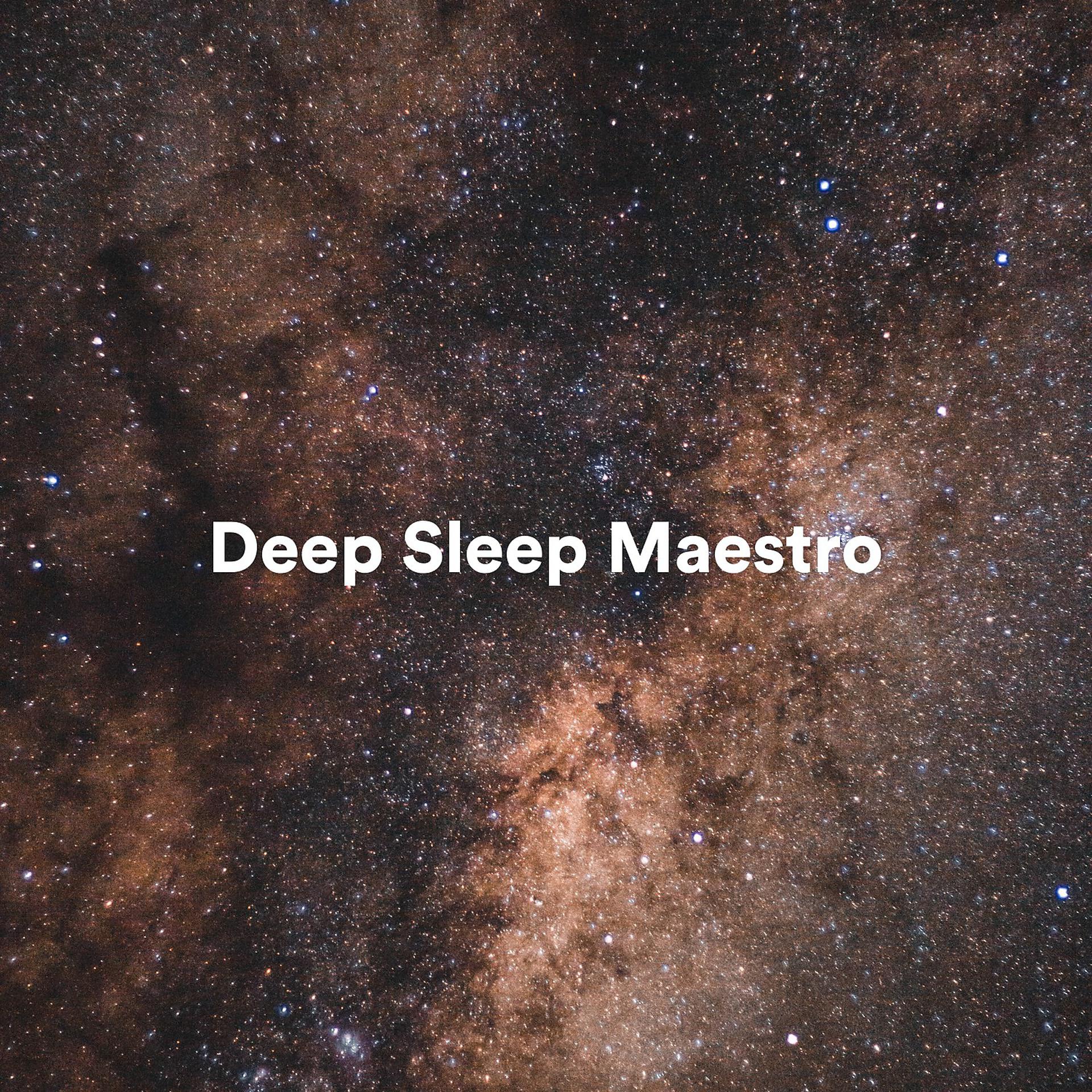 Постер альбома Deep Sleep Maestro