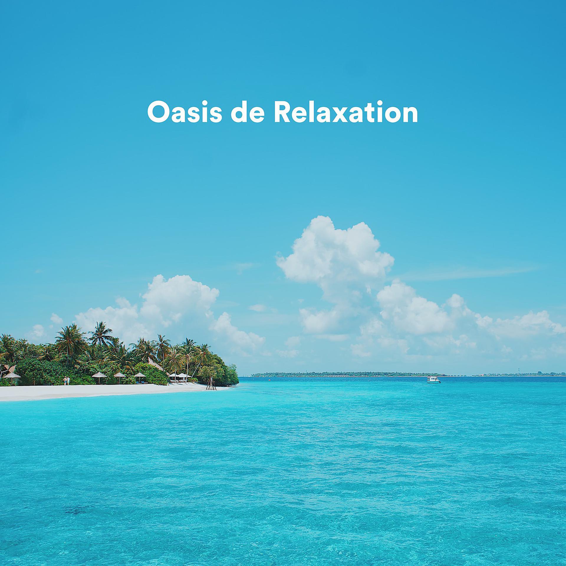 Постер альбома Oasis de relaxation