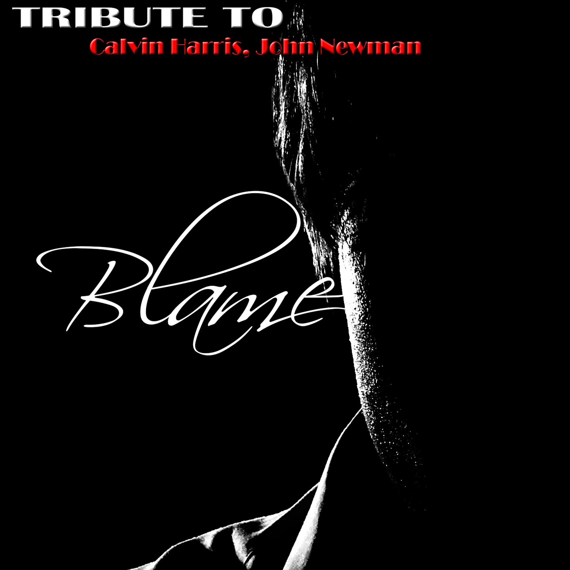 Постер альбома Blame: Tribute to Calvin Harris, John Newman