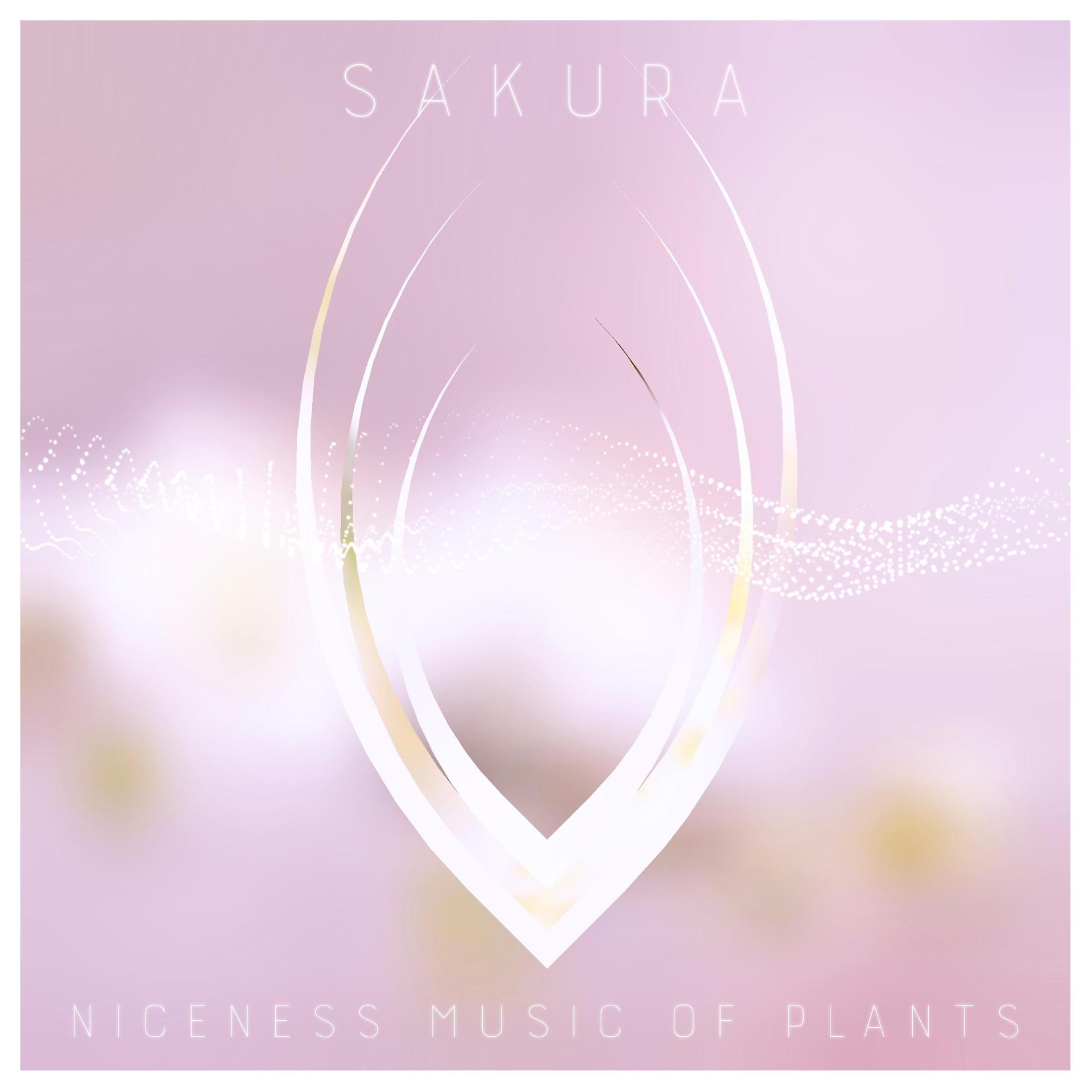 Постер альбома Sakura ~Niceness music of Plants~