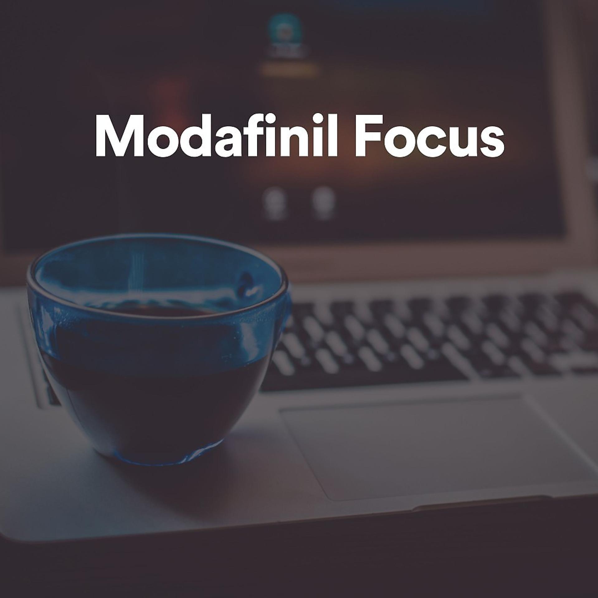 Постер альбома Modafinil Focus
