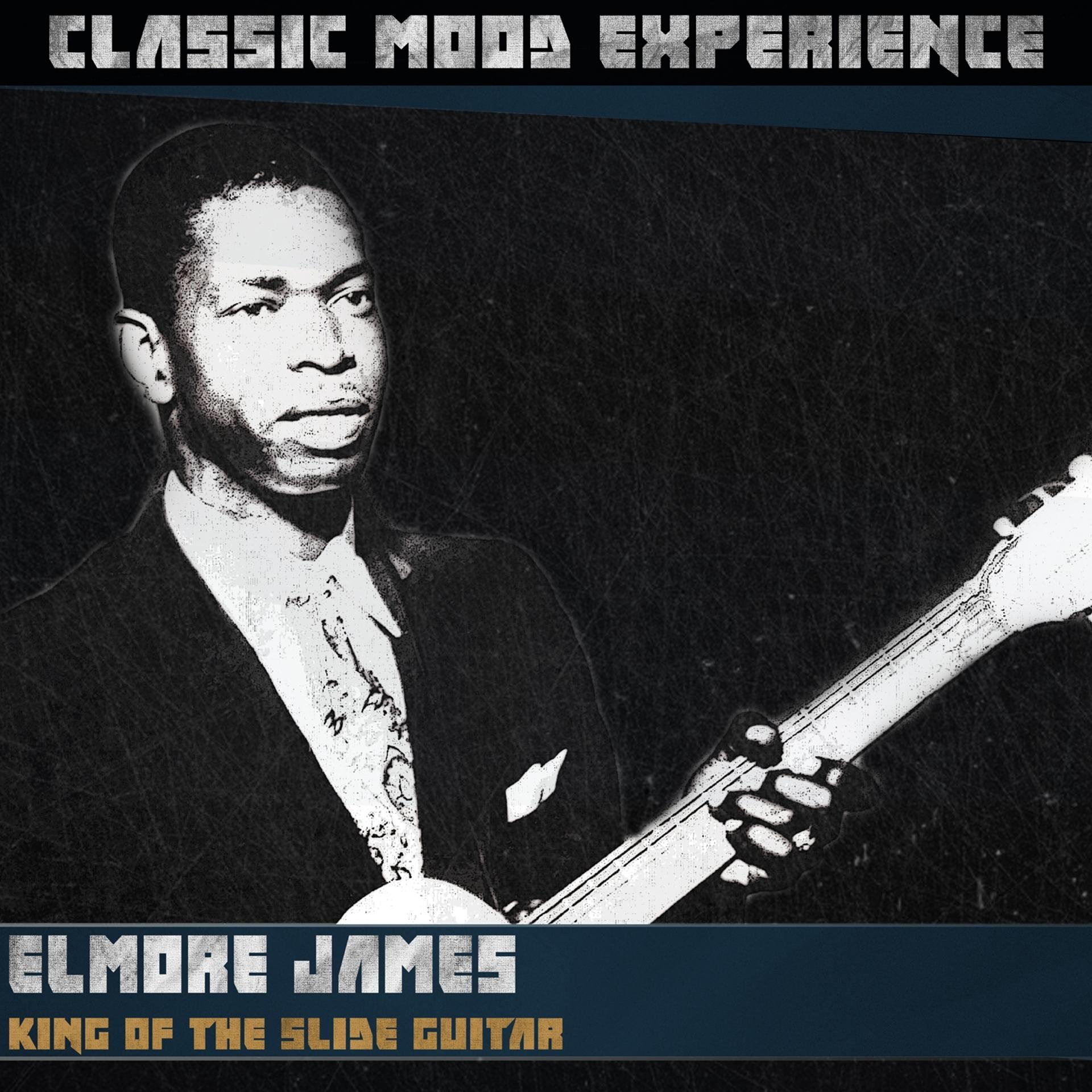 Постер альбома King of the Slide Guitar (Classic Mood Experience)