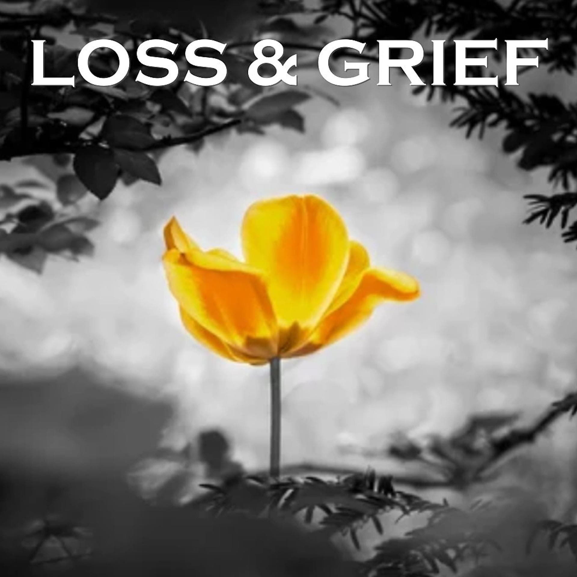 Постер альбома Loss and Grief