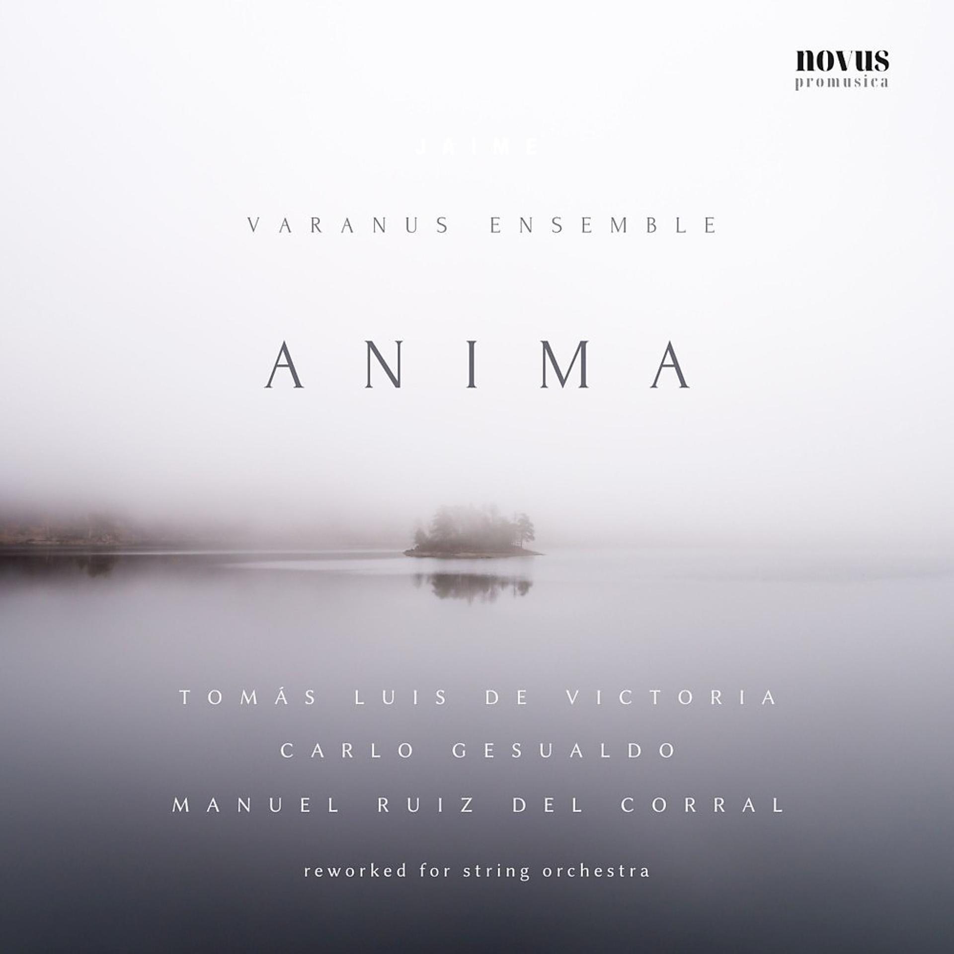 Постер альбома Anima: Victoria, Gesualdo and Ruiz del Corral Reworked for String Orchestra
