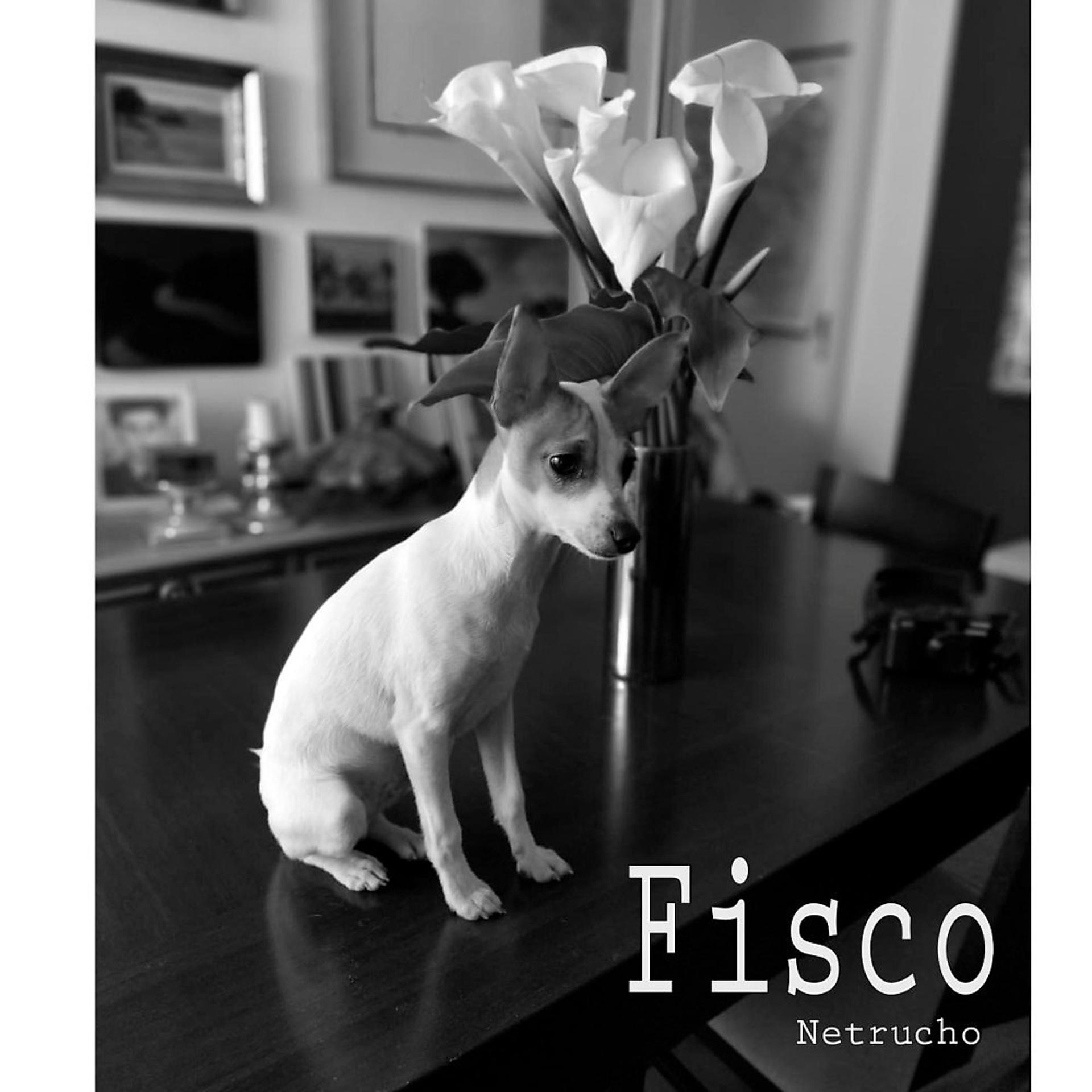 Постер альбома Fisco