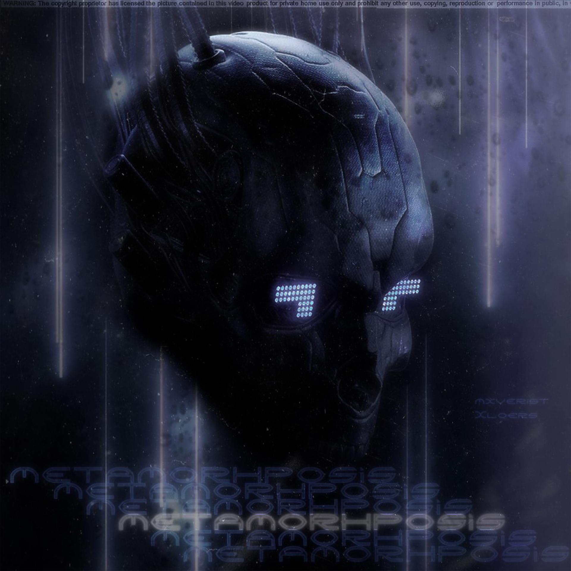 Постер альбома Metamorhposis