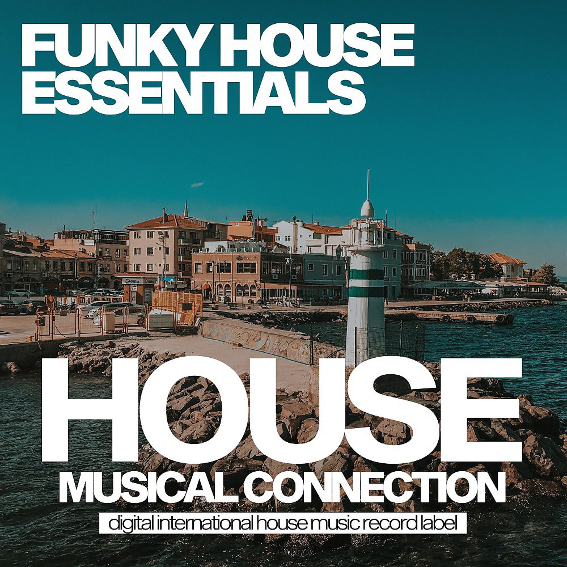 Постер альбома Funky House Essentials