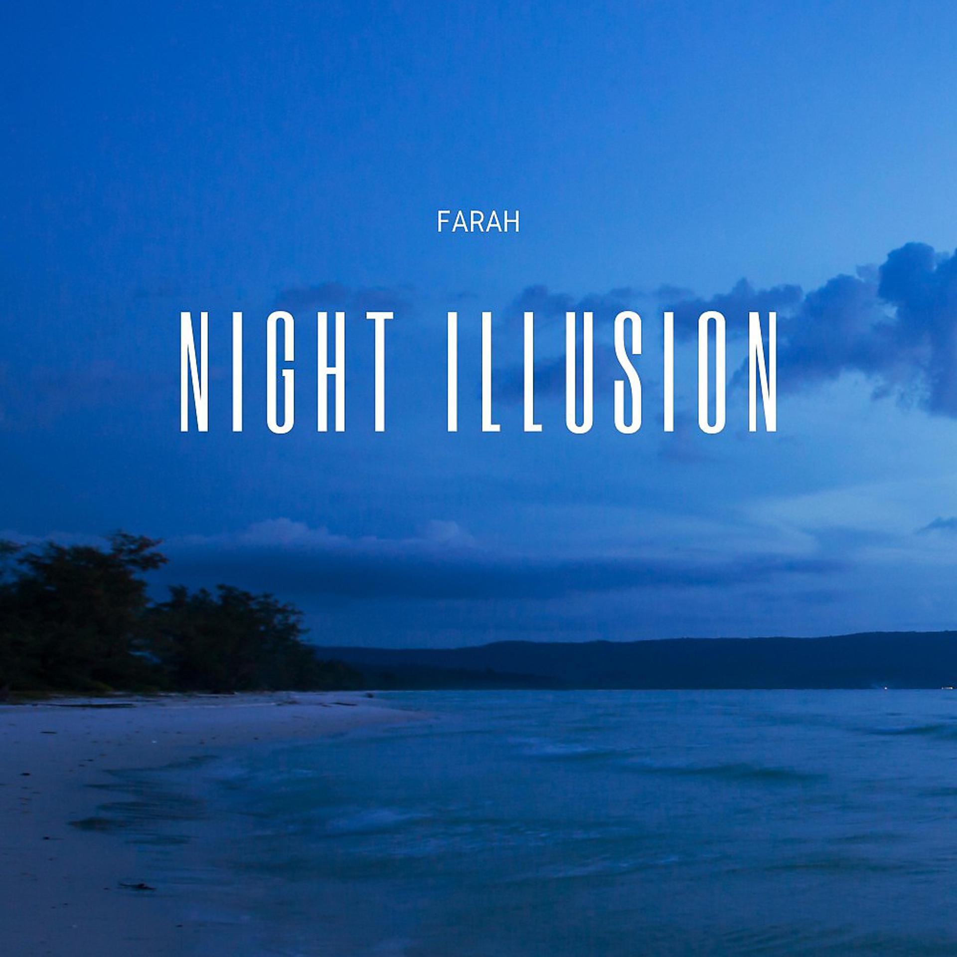 Постер альбома Night Illusion