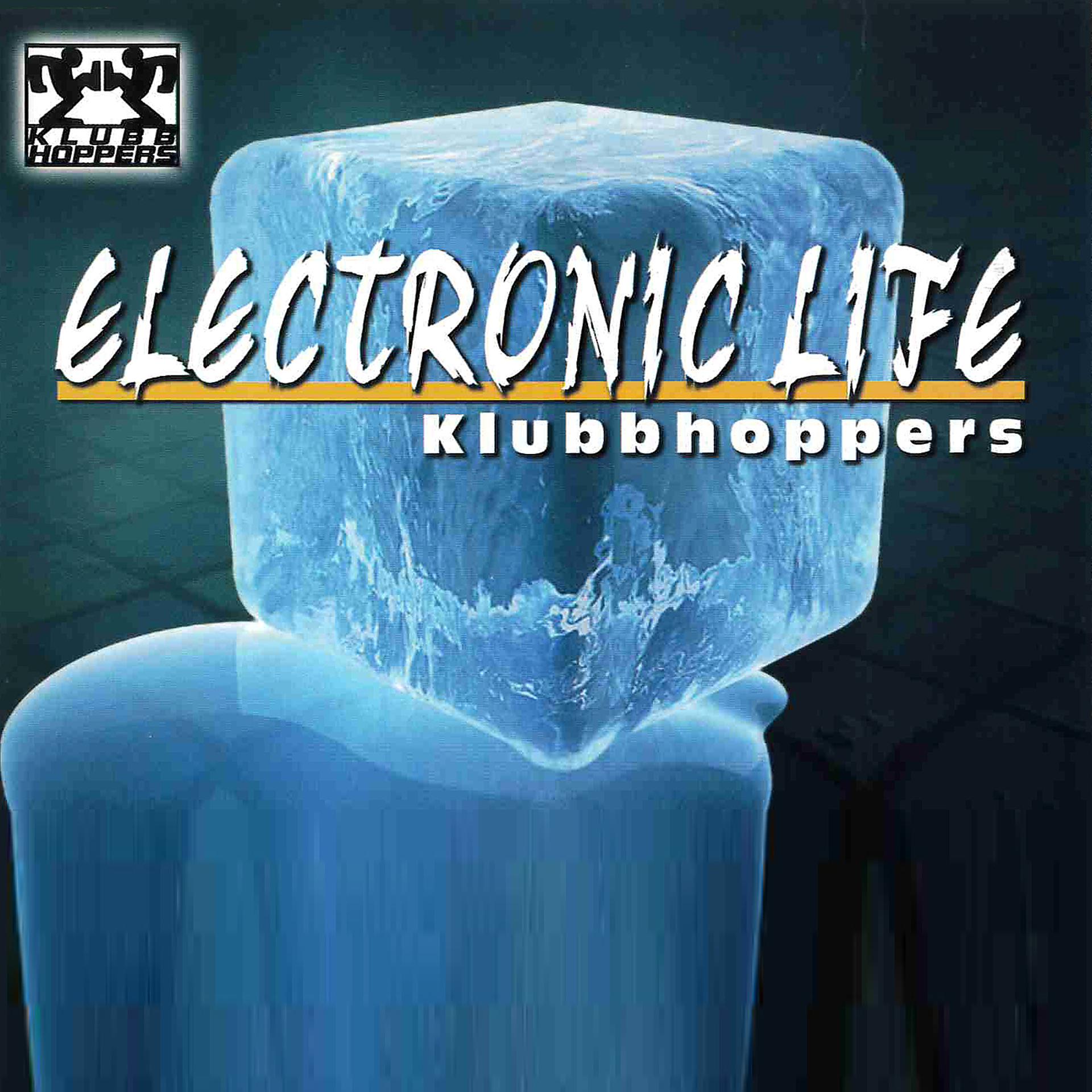 Постер альбома Electronic Life (Extended Mix)