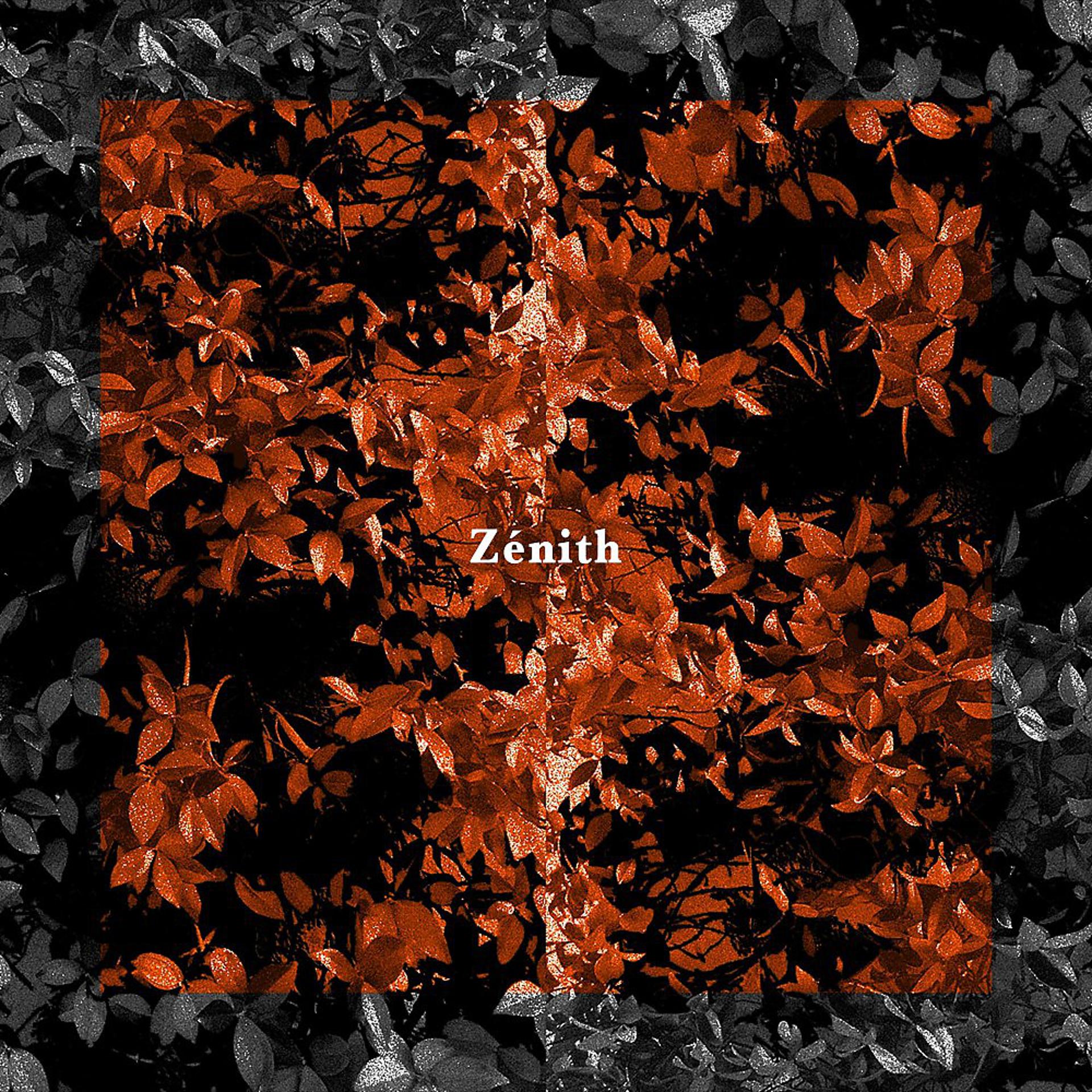 Постер альбома Zénith