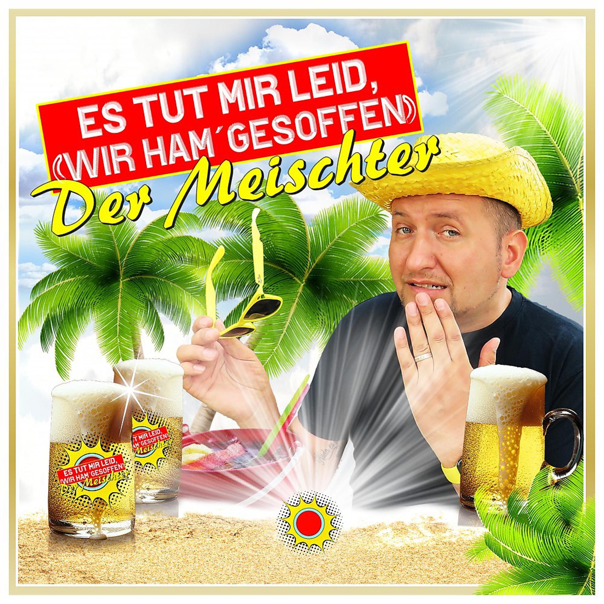 Постер альбома Es Tut Mir Leid (Wir Ham Gesoffen)