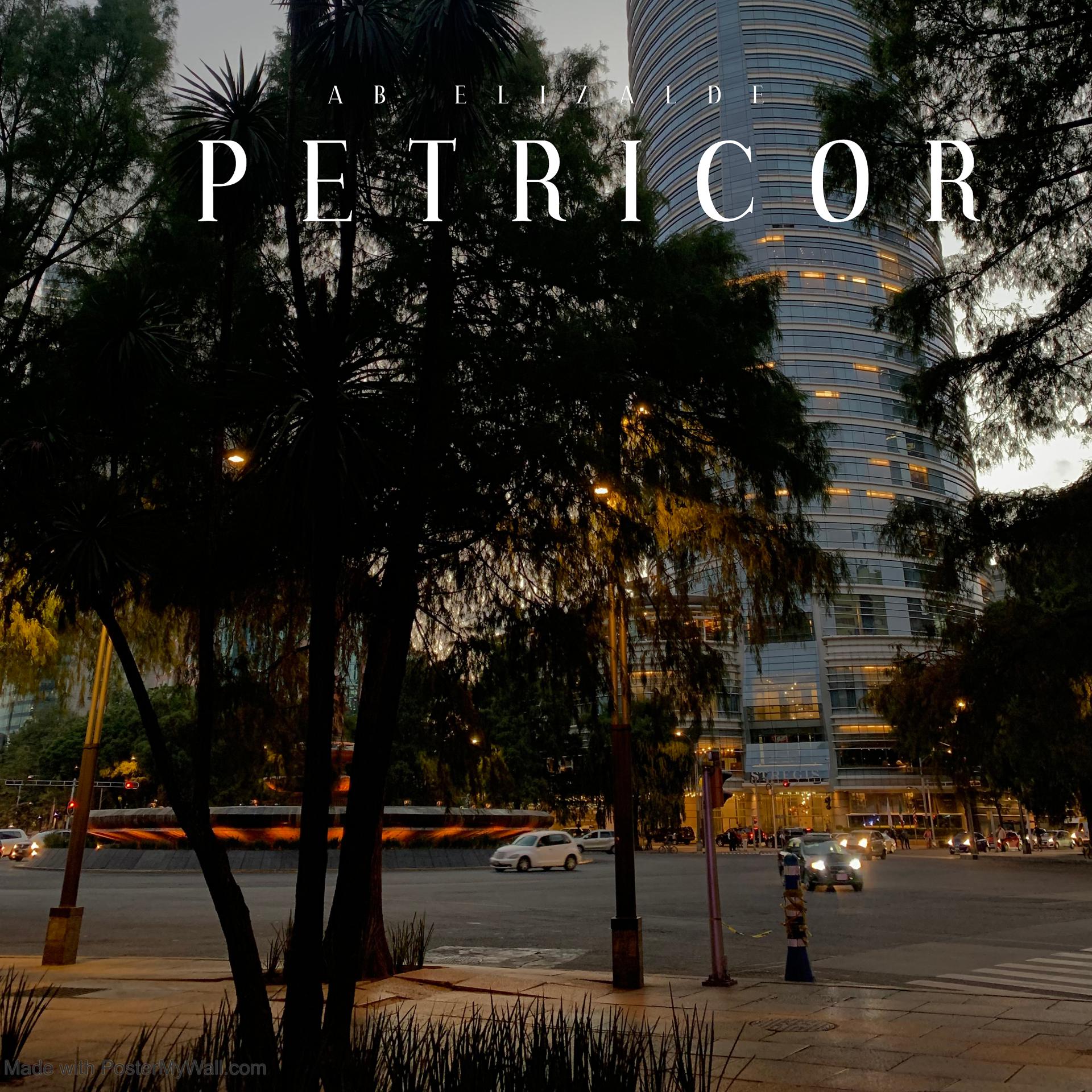 Постер альбома Petricor.