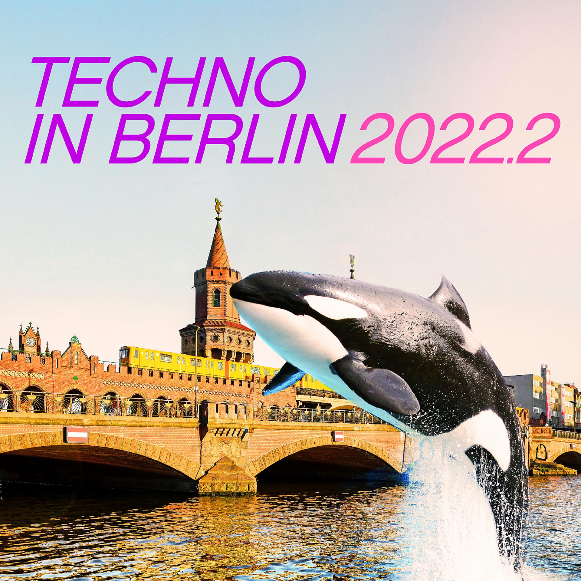 Постер альбома Techno in Berlin 2022.2