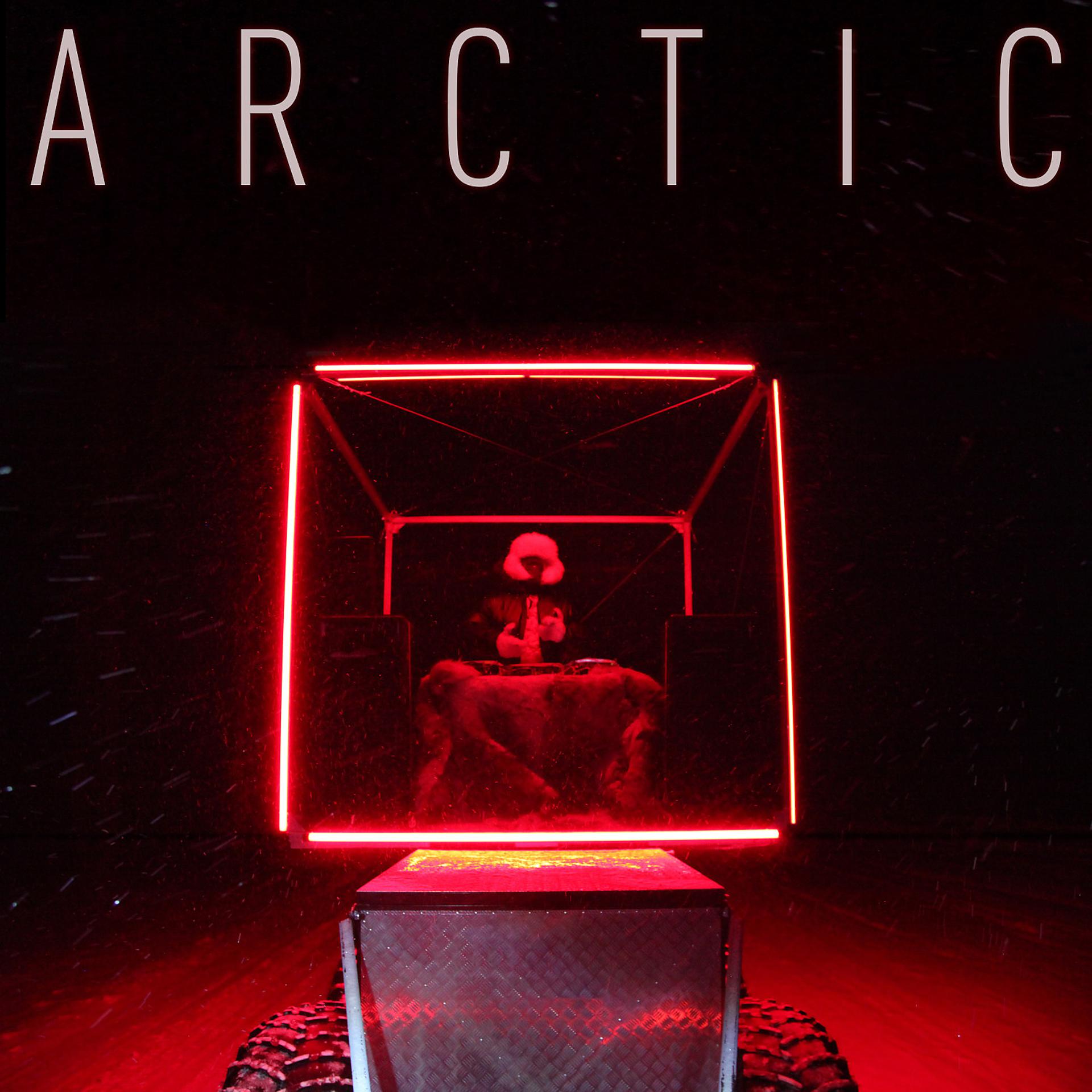 Постер альбома ARCTIC (prod.by Denis Simachev)