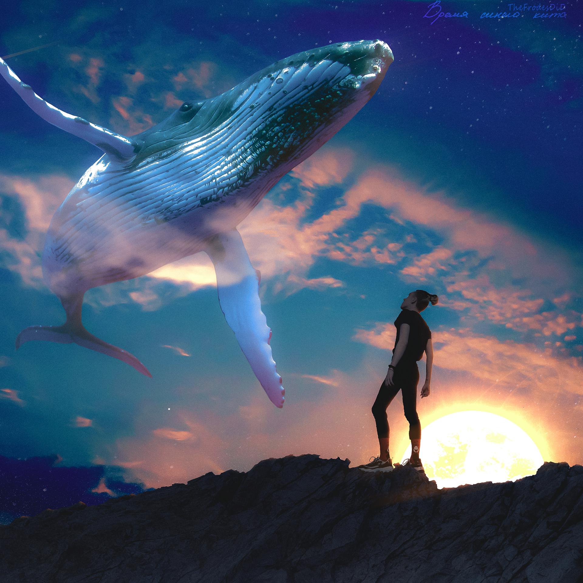 Постер альбома Время синего кита