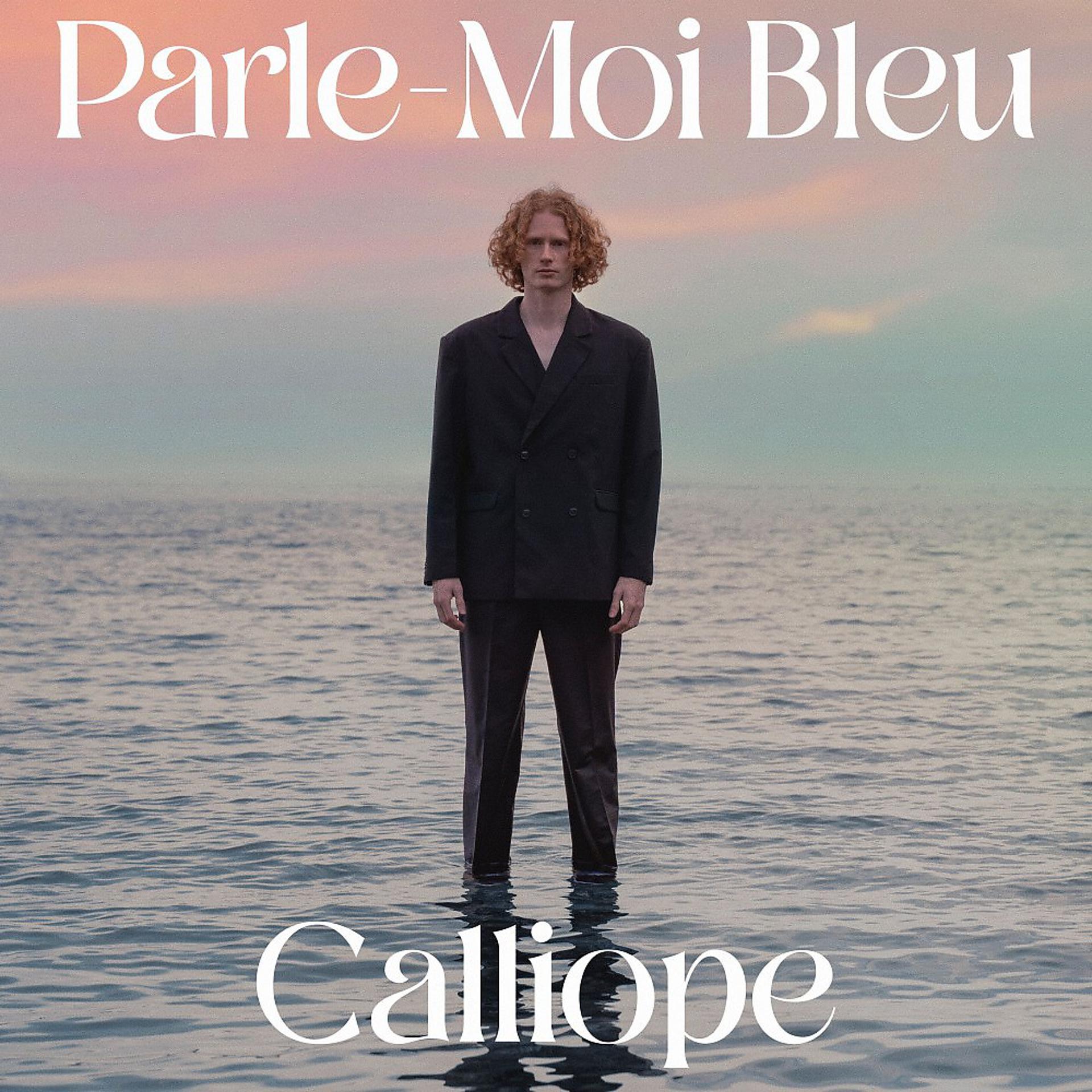 Постер альбома Parle-Moi bleu