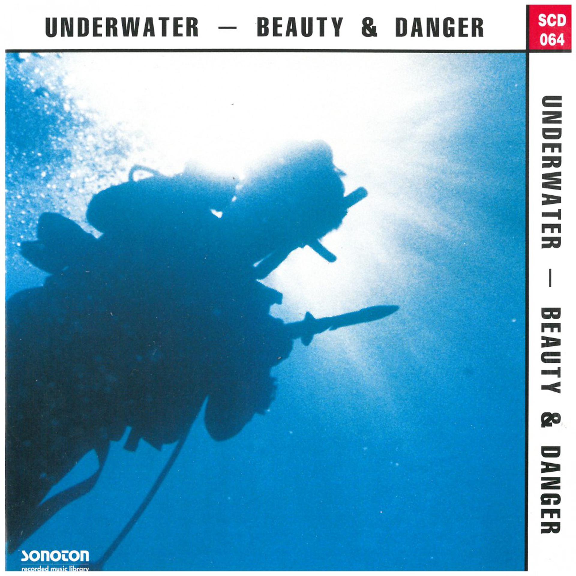 Постер альбома Underwater - Beauty and Danger