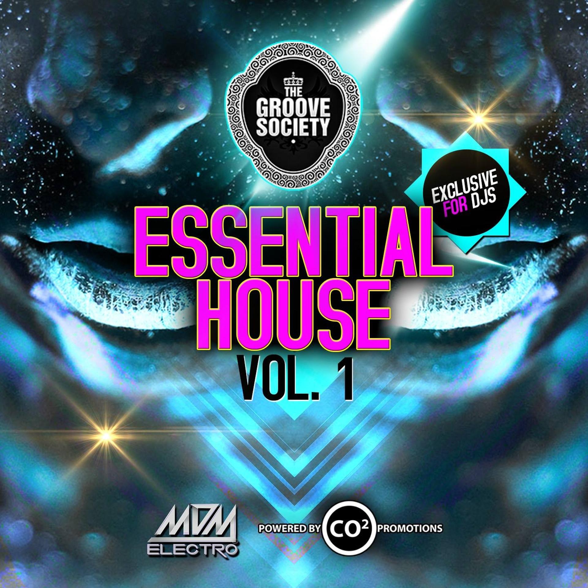 Постер альбома Essential House, Vol.1