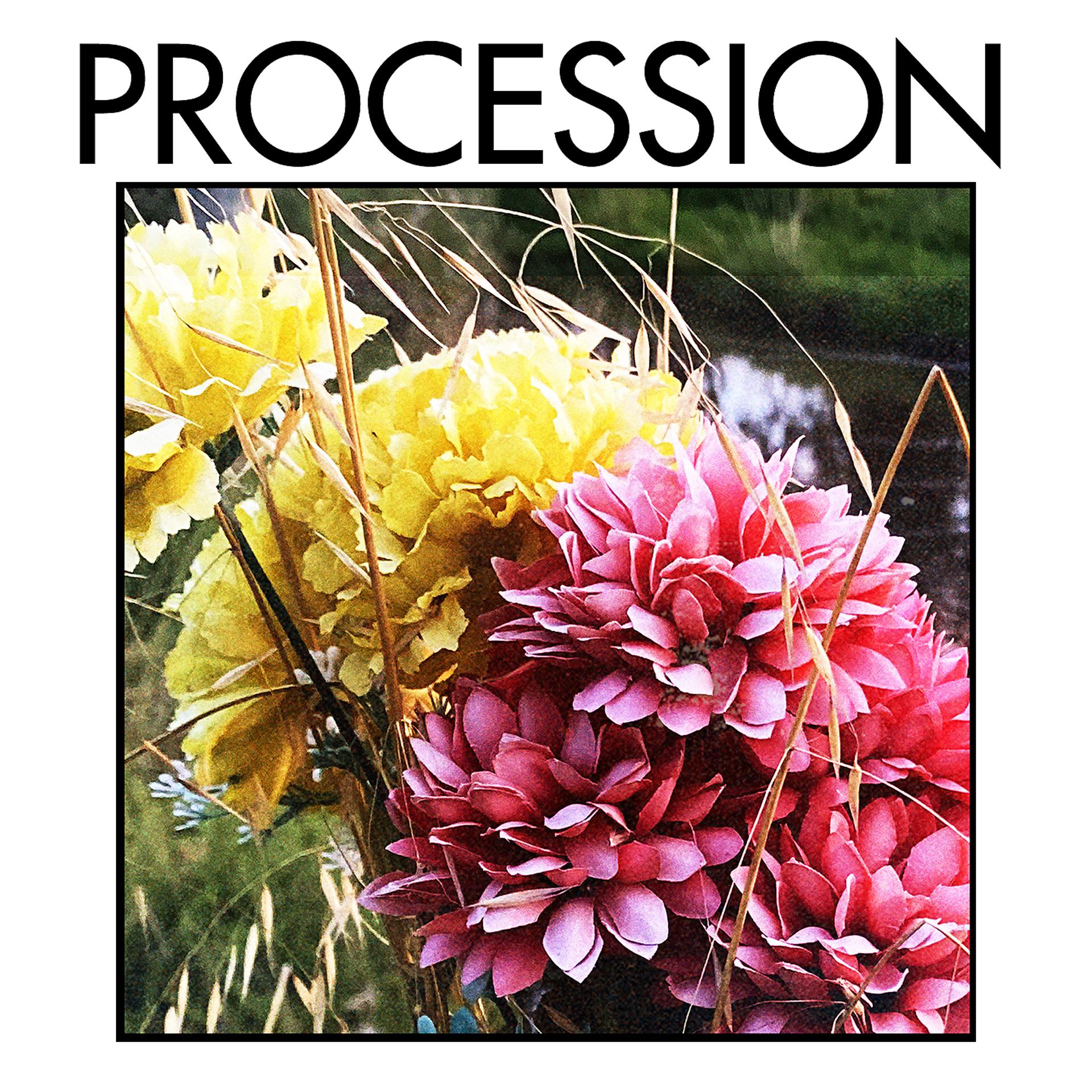 Постер альбома Procession