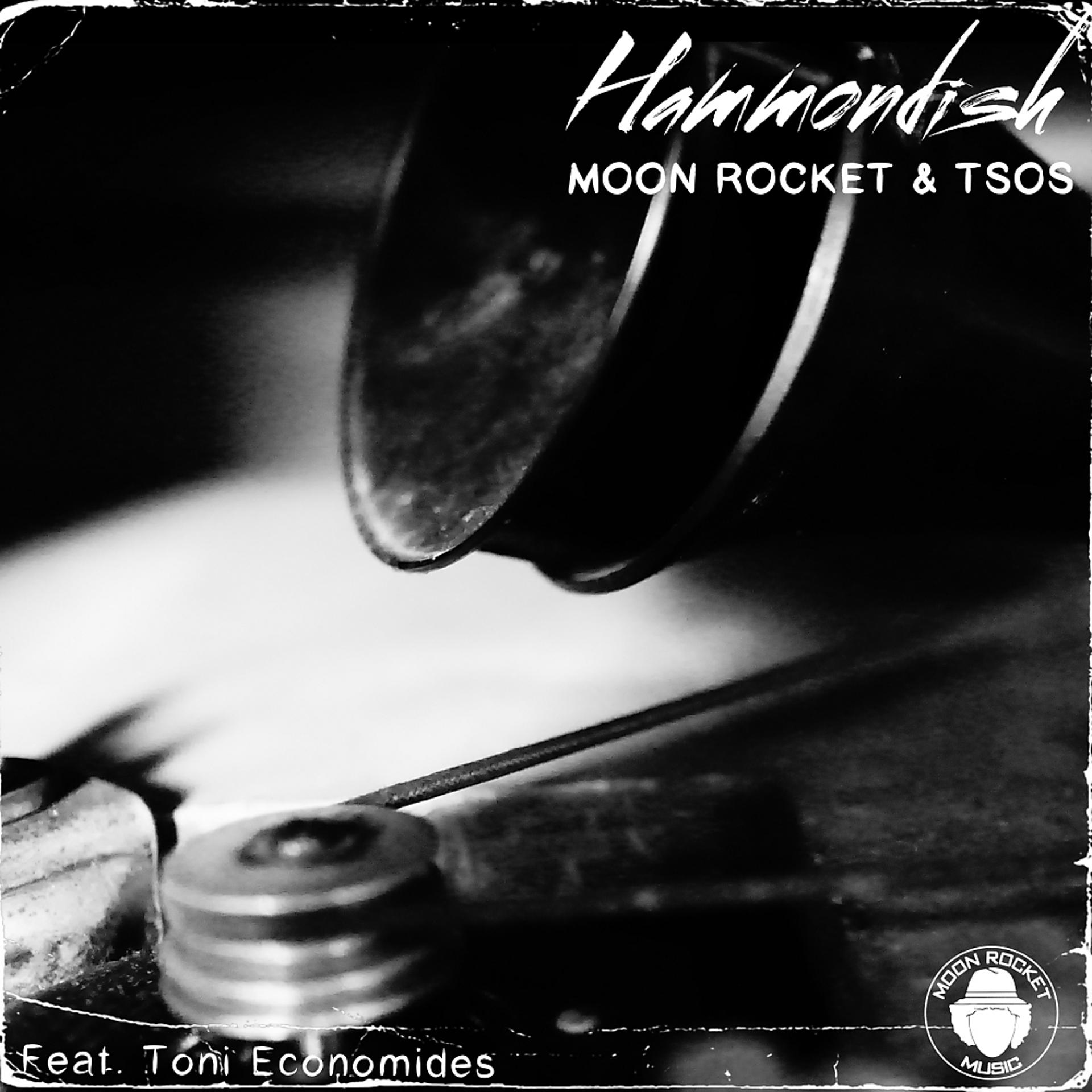 Постер альбома Hammondish