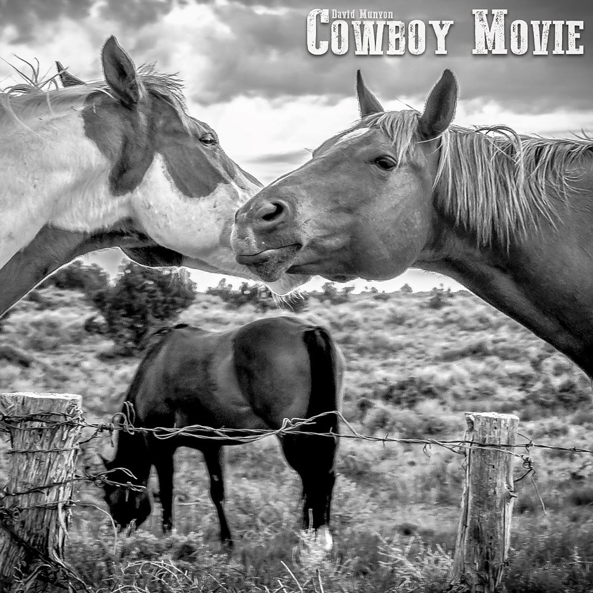 Постер альбома Cowboy Movie