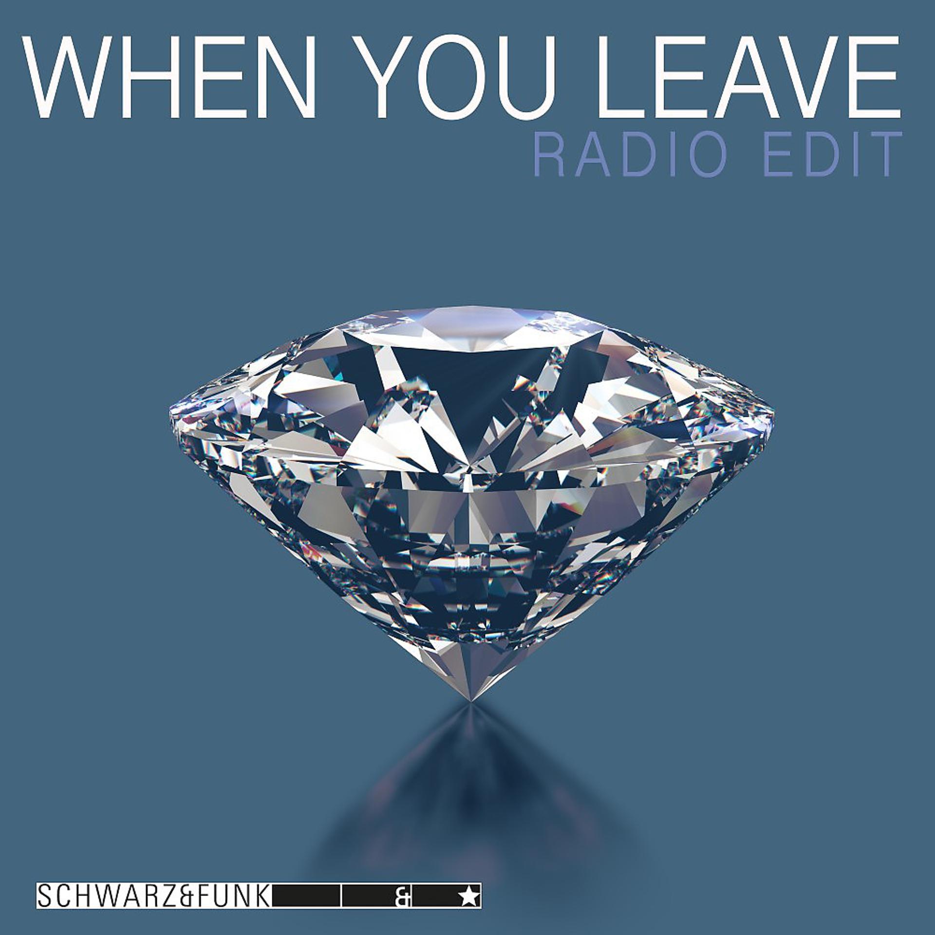 Постер альбома When You Leave (Radio Edit)