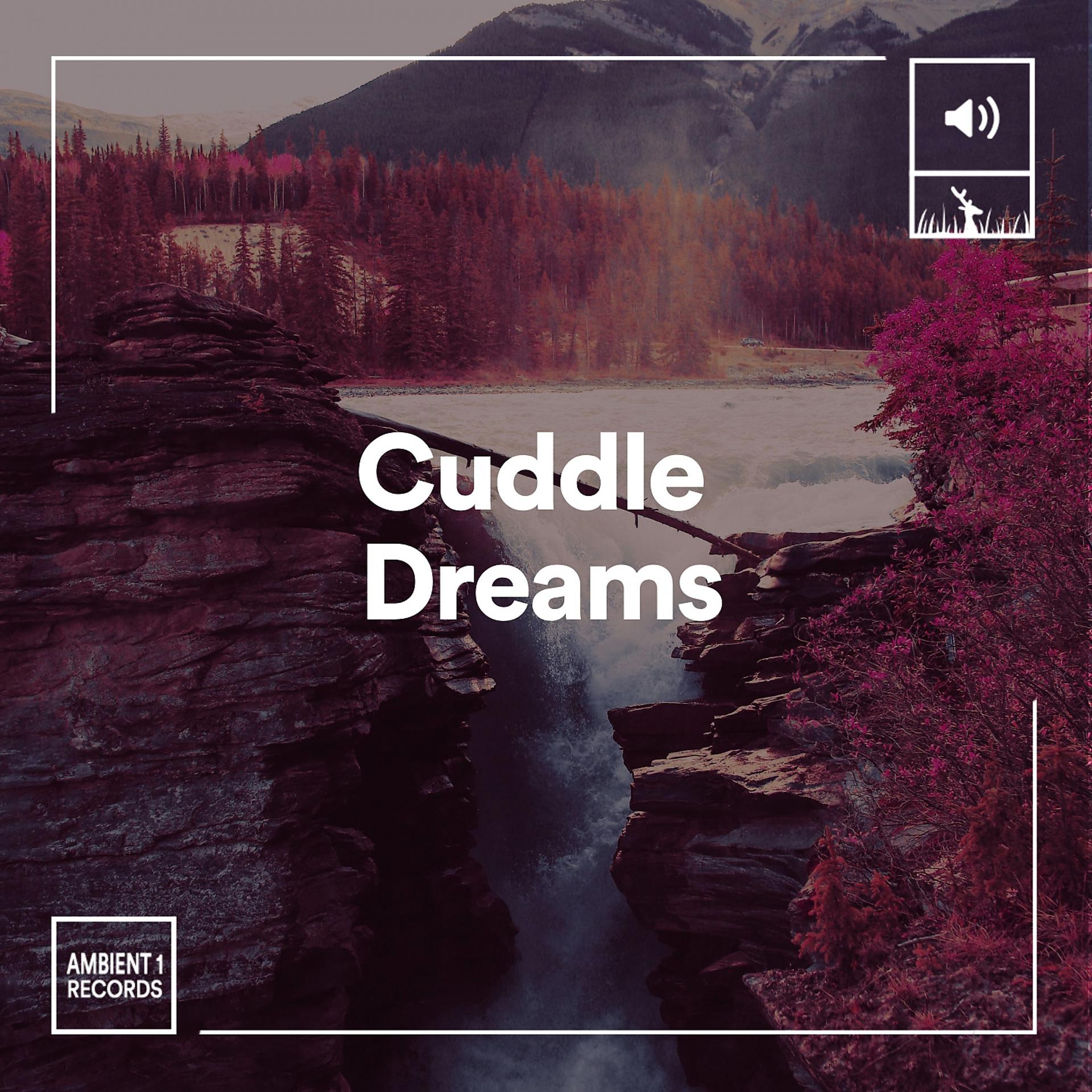 Постер альбома Cuddle Dreams