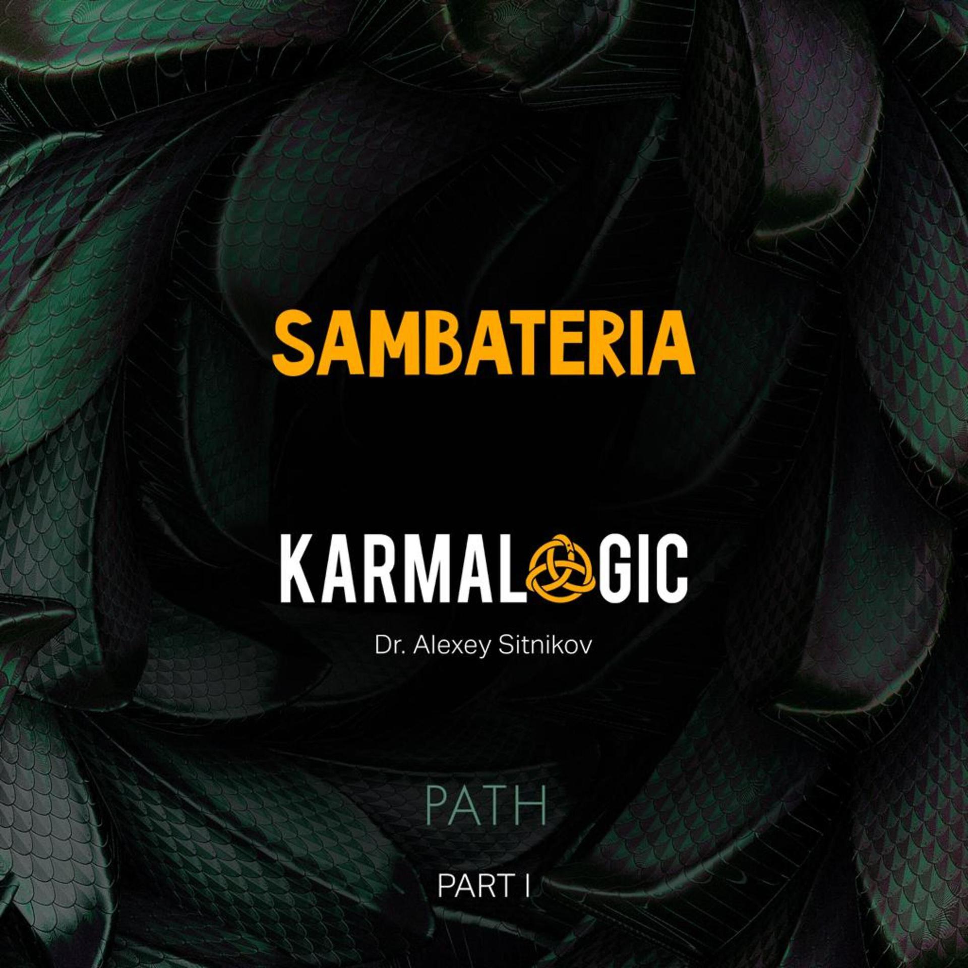 Постер альбома Karmalogic Path (Part I)