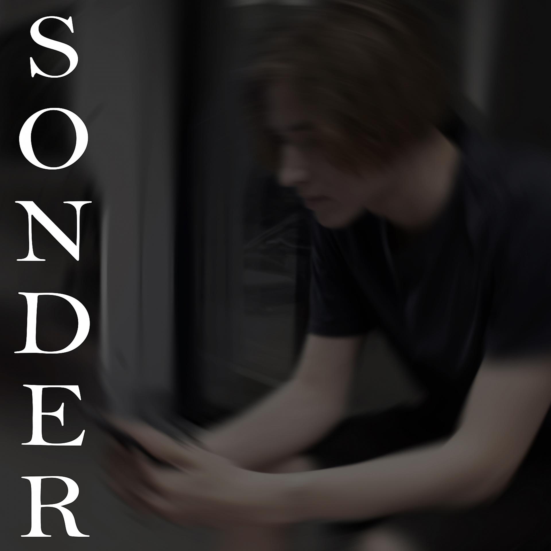 Постер альбома Sonder